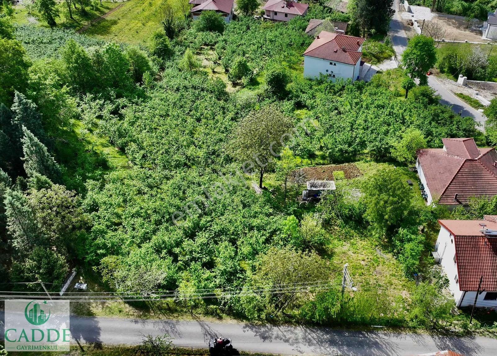 Cadde Emlaktan Akyazı Taşburun Müstakil Yaşama Müsait 800m2 Arsa - Görsel 2