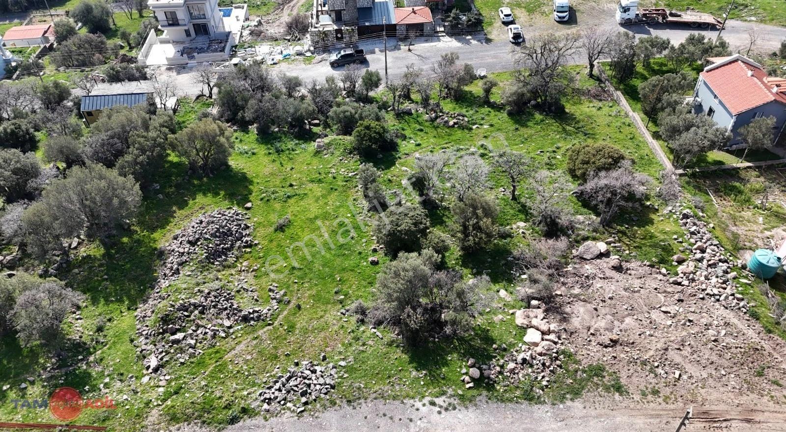 Çandarlı Bimeyko Sitesinde Deniz Gören Masrafsız Fırsat Arsa - Görsel 13