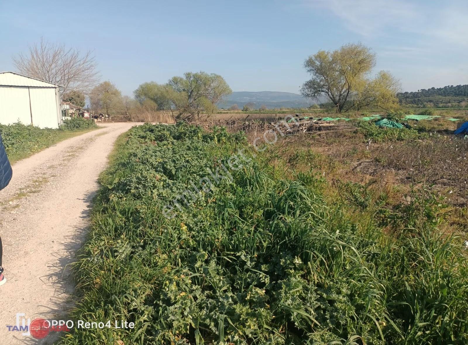Bergama Satılık 8.960 M2 Tarla - Görsel 18