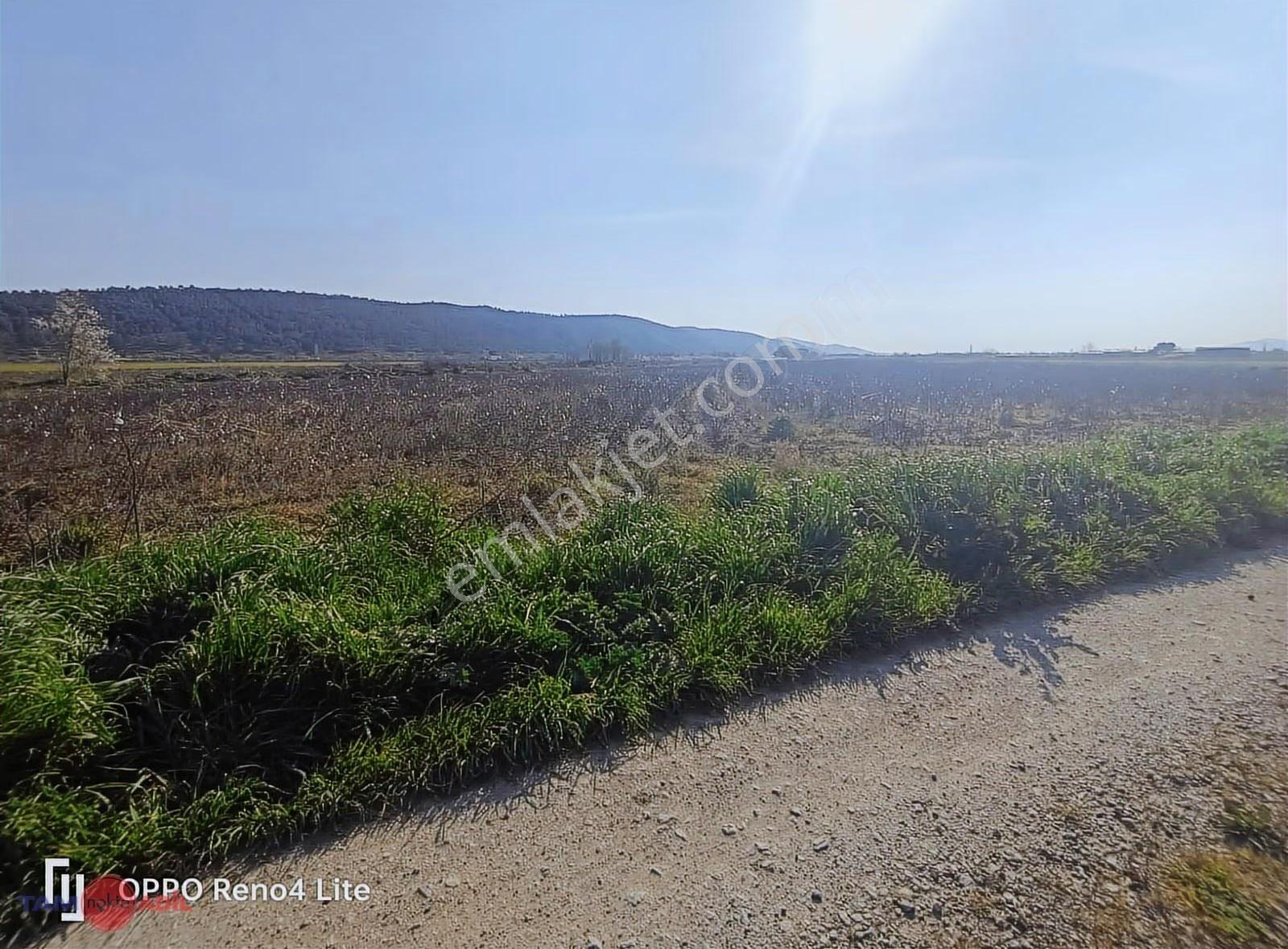 Bergama Satılık 8.960 M2 Tarla - Görsel 5