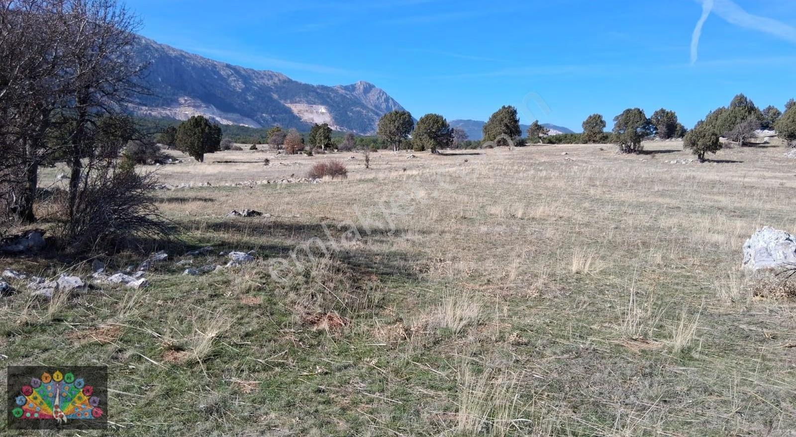 Bakaranda Şahane Yayla Parseli .çamlık Gölet Manzaralı - Görsel 2
