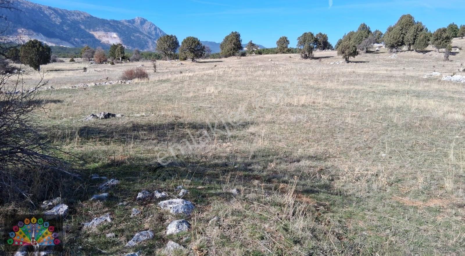 Bakaranda Şahane Yayla Parseli .çamlık Gölet Manzaralı - Görsel 5