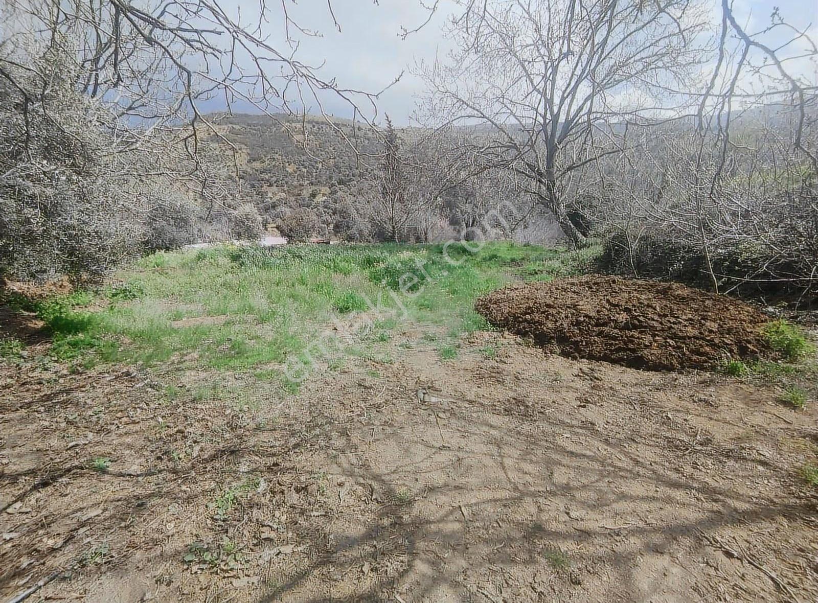 Pek Emlaktan Eğridere De 1265 M2 Satılık Elektrik Olan Bahçe - Görsel 3