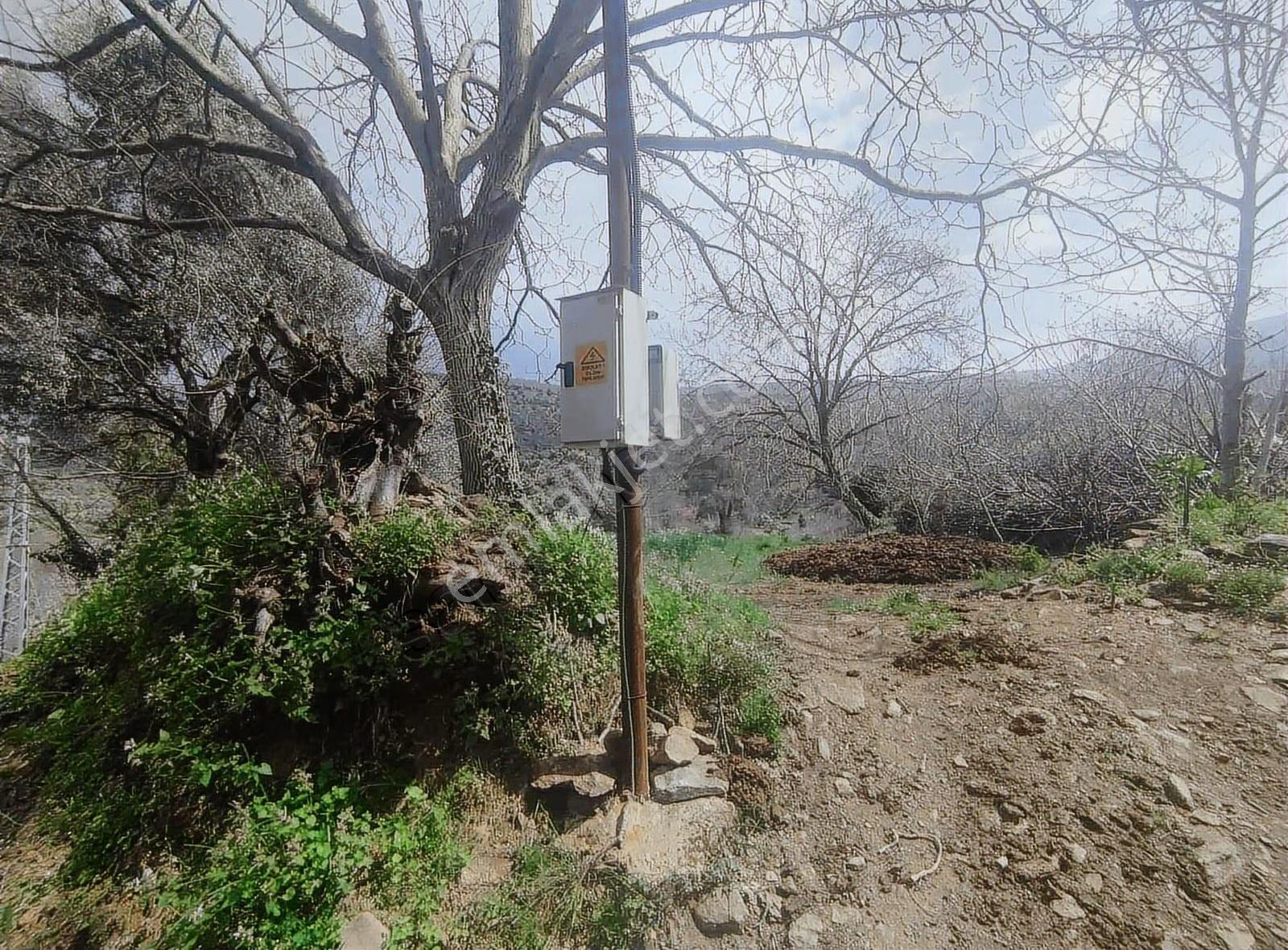 Pek Emlaktan Eğridere De 1265 M2 Satılık Elektrik Olan Bahçe - Görsel 11