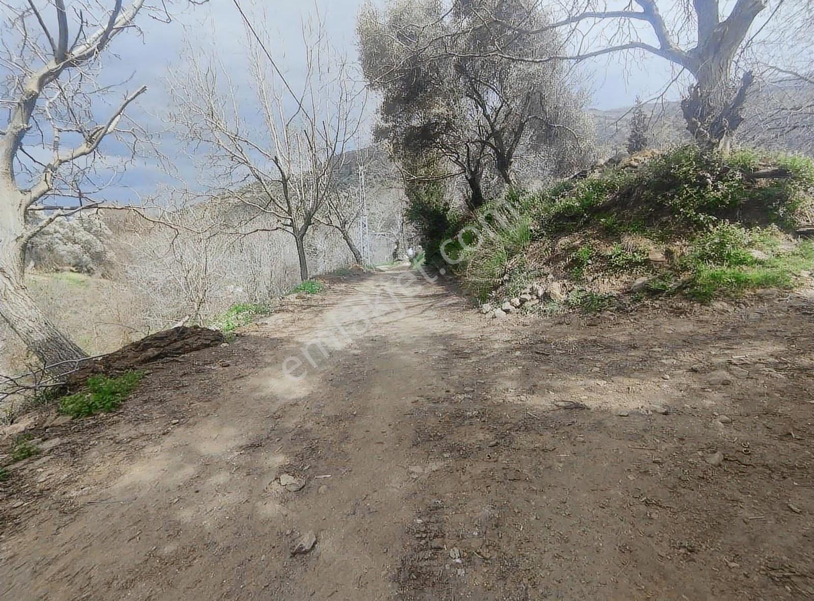 Pek Emlaktan Eğridere De 1265 M2 Satılık Elektrik Olan Bahçe - Görsel 20