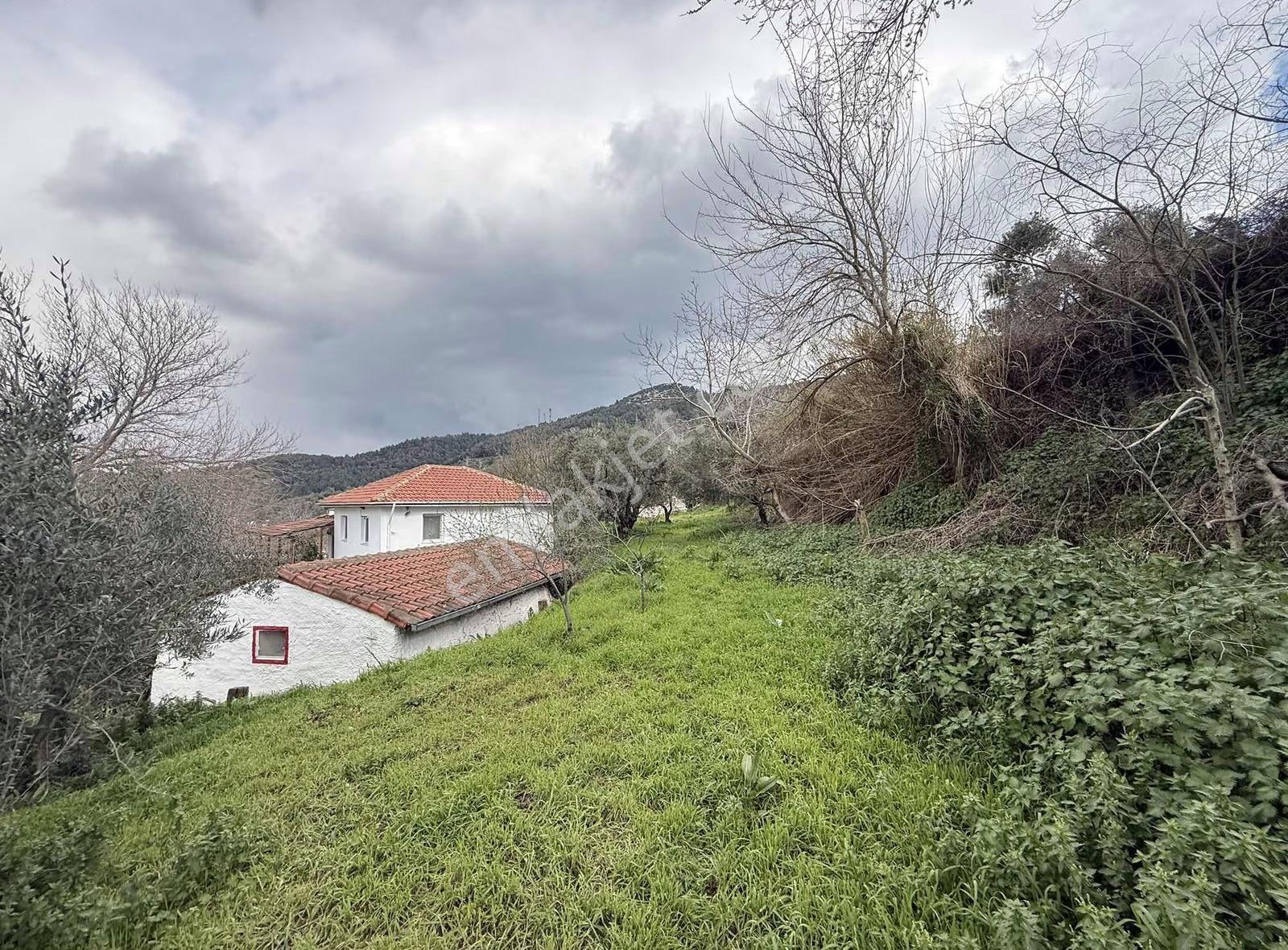 Pek Emlaktan Küçükkalede 2295 M2 Satılık Muhteşem Ev Ve Arsa - Görsel 2