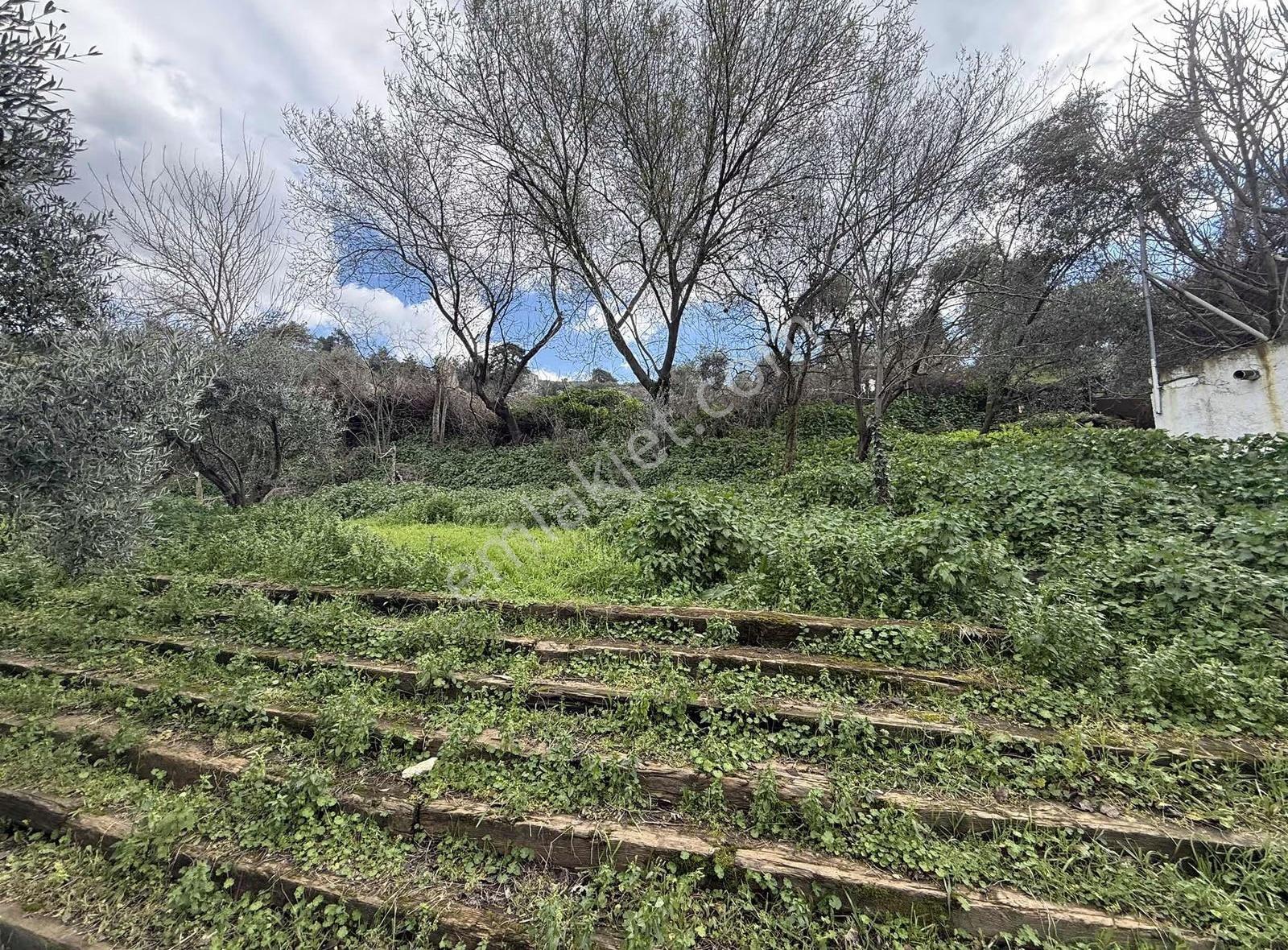 Pek Emlaktan Küçükkalede 2295 M2 Satılık Muhteşem Ev Ve Arsa - Görsel 20
