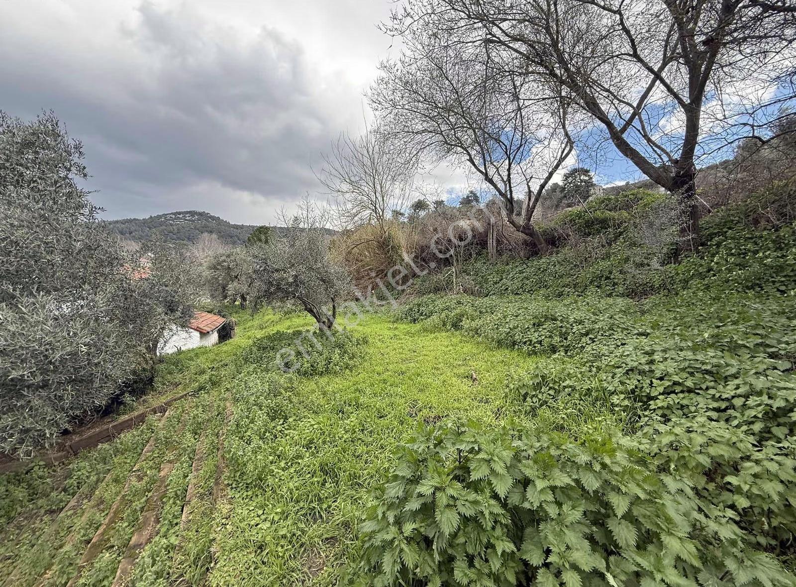 Pek Emlaktan Küçükkalede 2295 M2 Satılık Muhteşem Ev Ve Arsa - Görsel 23