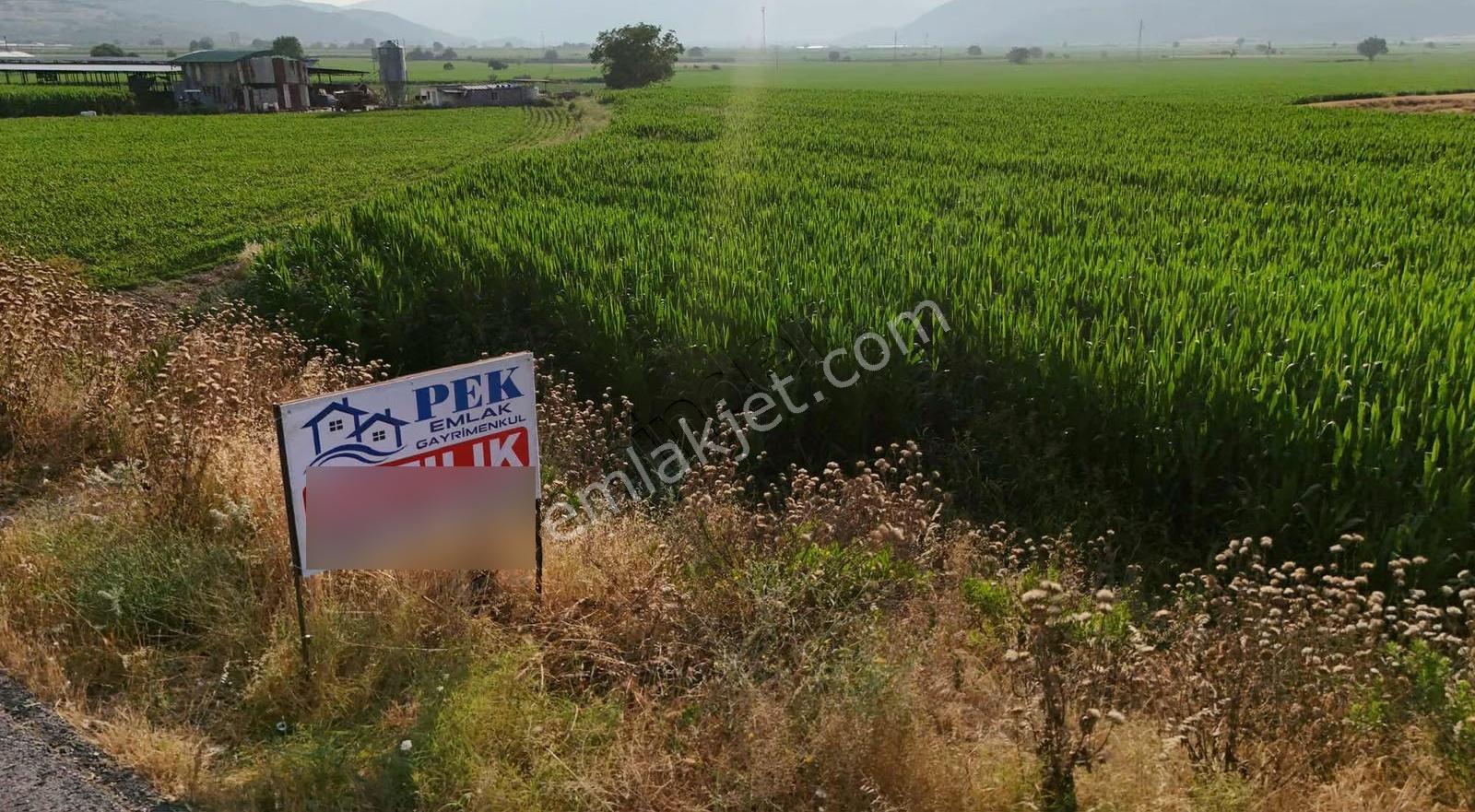 Pek Emlaktan 7560 M2 Otoyol Cepheli Satılık Tarla - Görsel 16