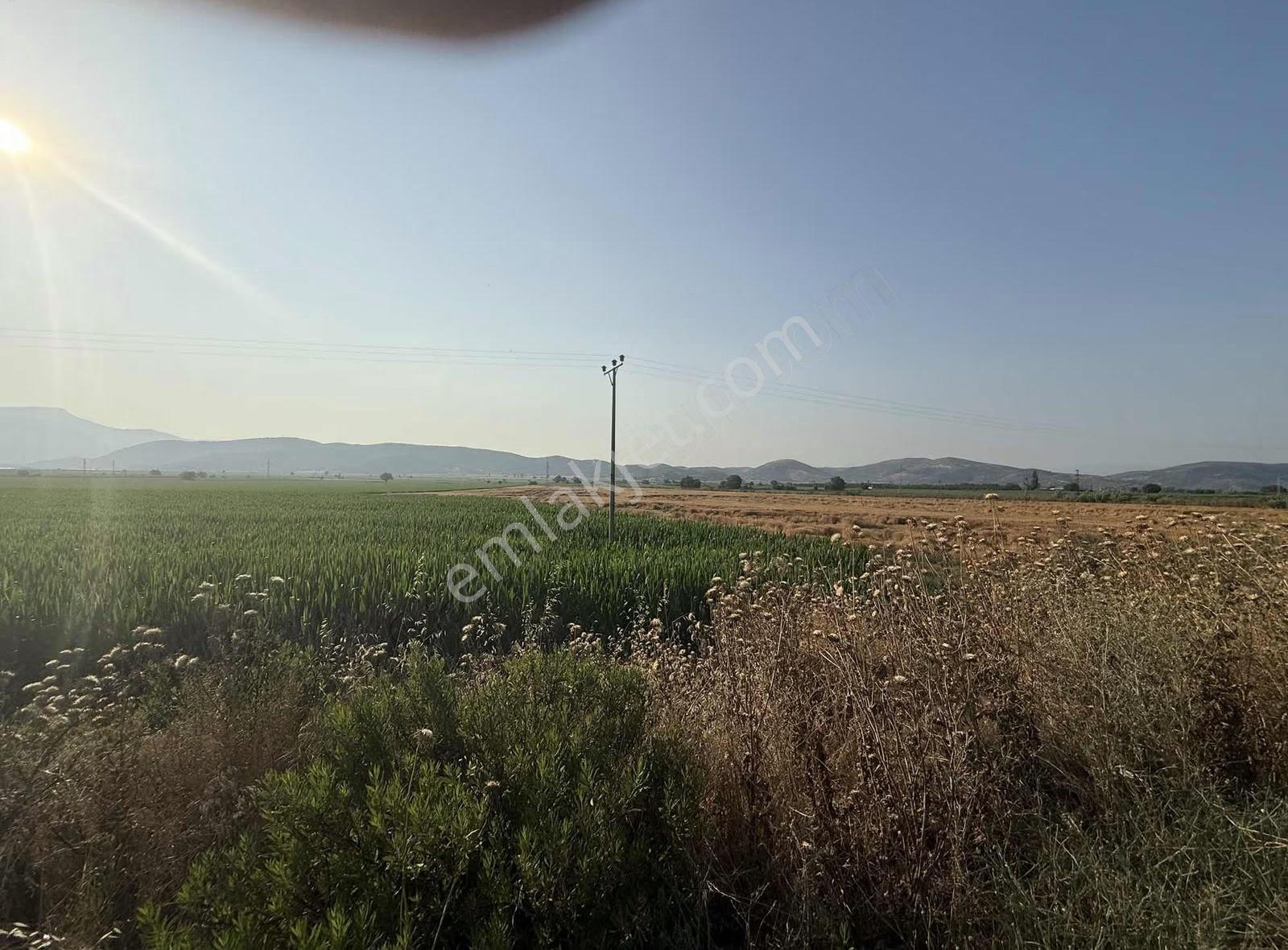 Pek Emlaktan 7560 M2 Otoyol Cepheli Satılık Tarla - Görsel 10