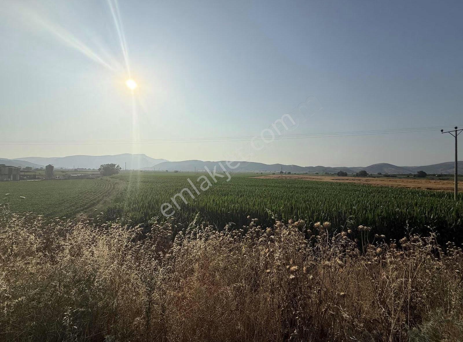 Pek Emlaktan 7560 M2 Otoyol Cepheli Satılık Tarla - Görsel 2