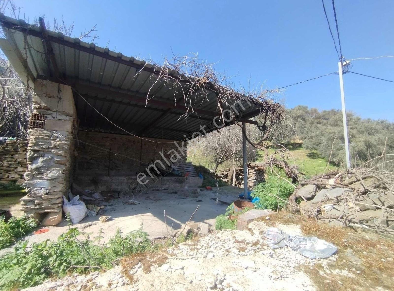 Pek Emlaktan Köy İçi Çok Amaçlı Köşe Konumda Satılık Arsa - Görsel 16