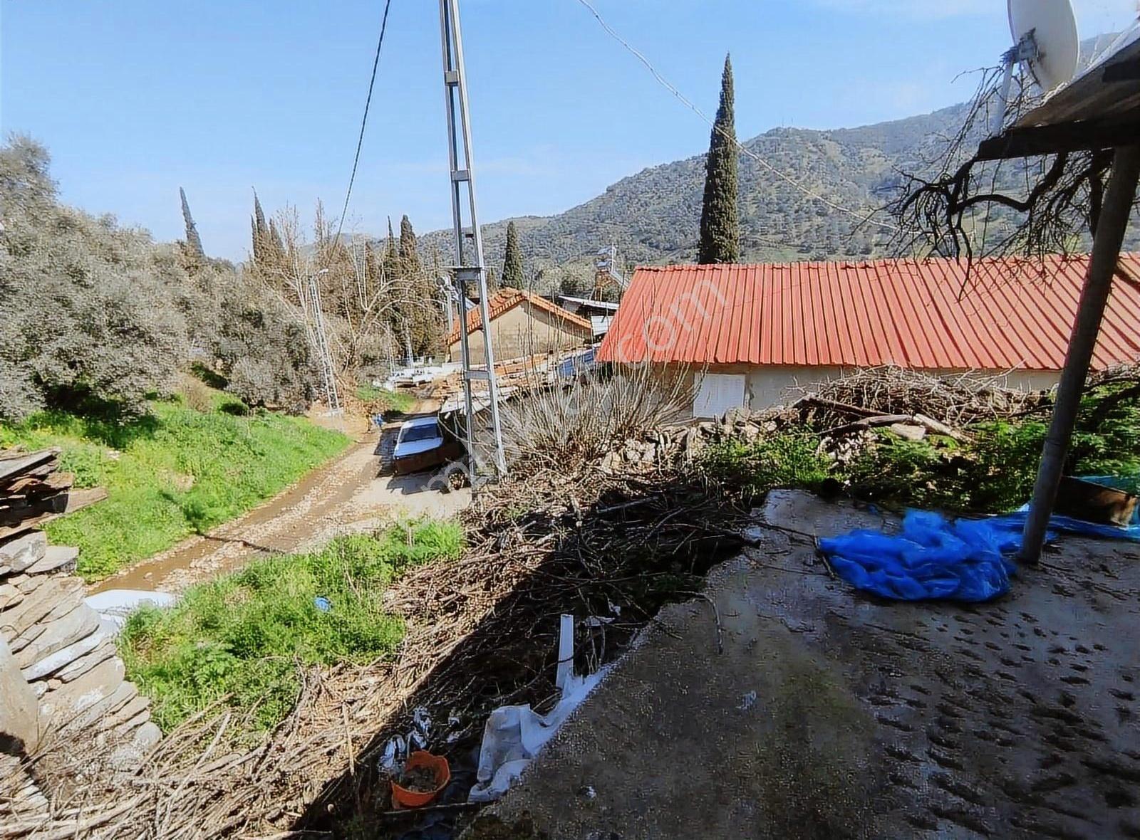 Pek Emlaktan Köy İçi Çok Amaçlı Köşe Konumda Satılık Arsa - Görsel 6