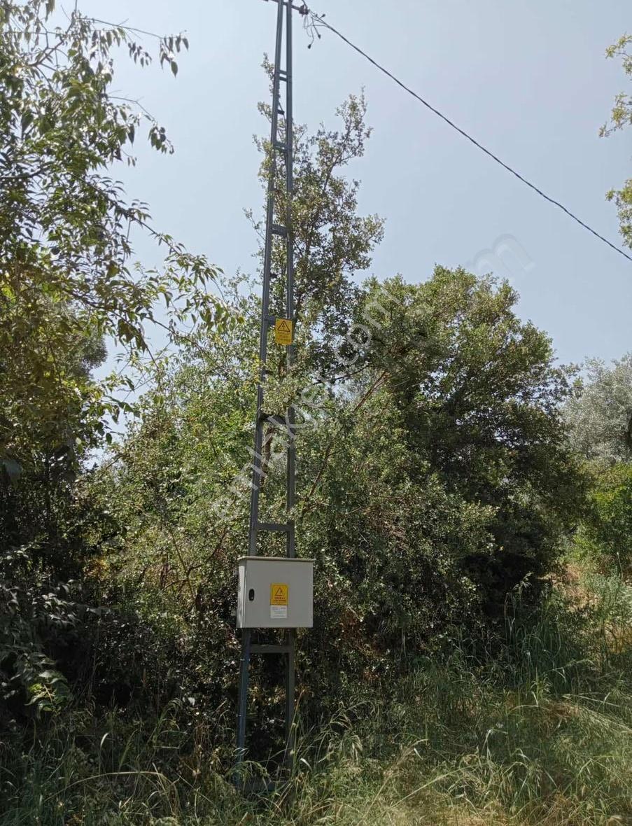 Pek Emlaktan Peşrefli De Elektirik Sulu Köye Yakın Satılık Bahçe - Görsel 17