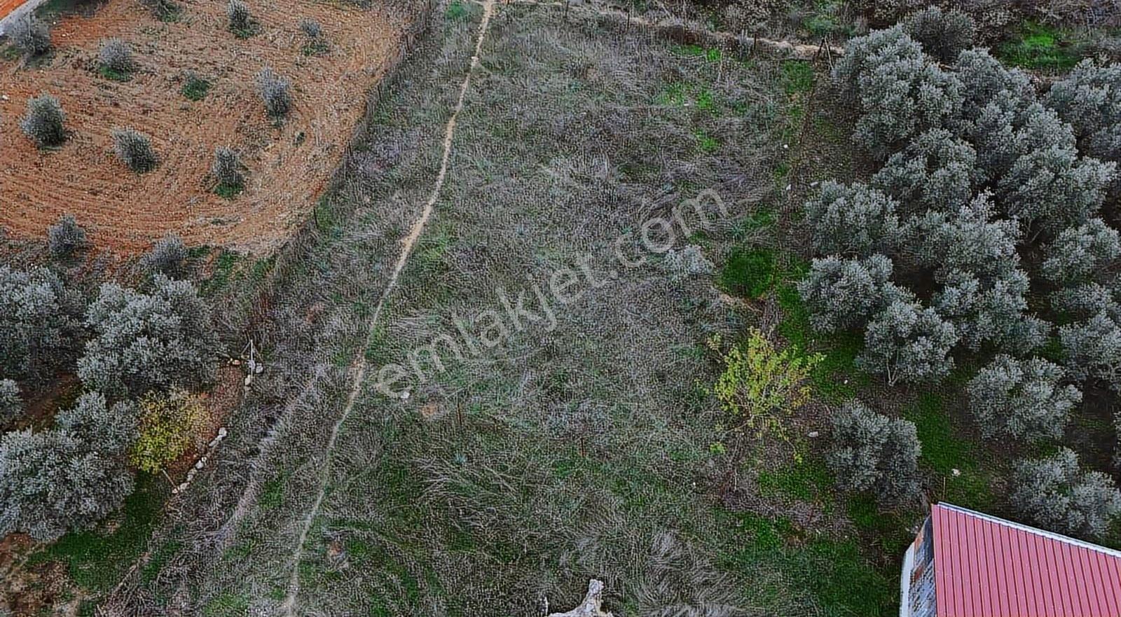Pek Emlaktan 450 M2 %50 Nizami 2 Kat Konut İmarlı Satılık Arsa - Görsel 12