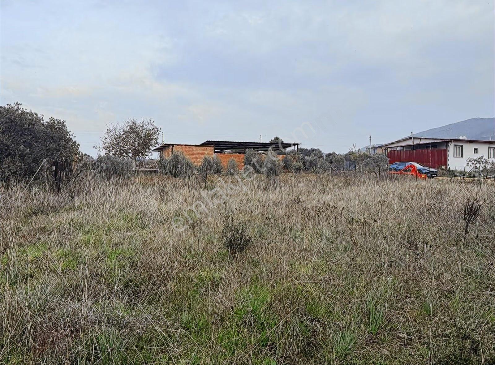 Pek Emlaktan 450 M2 %50 Nizami 2 Kat Konut İmarlı Satılık Arsa - Görsel 20