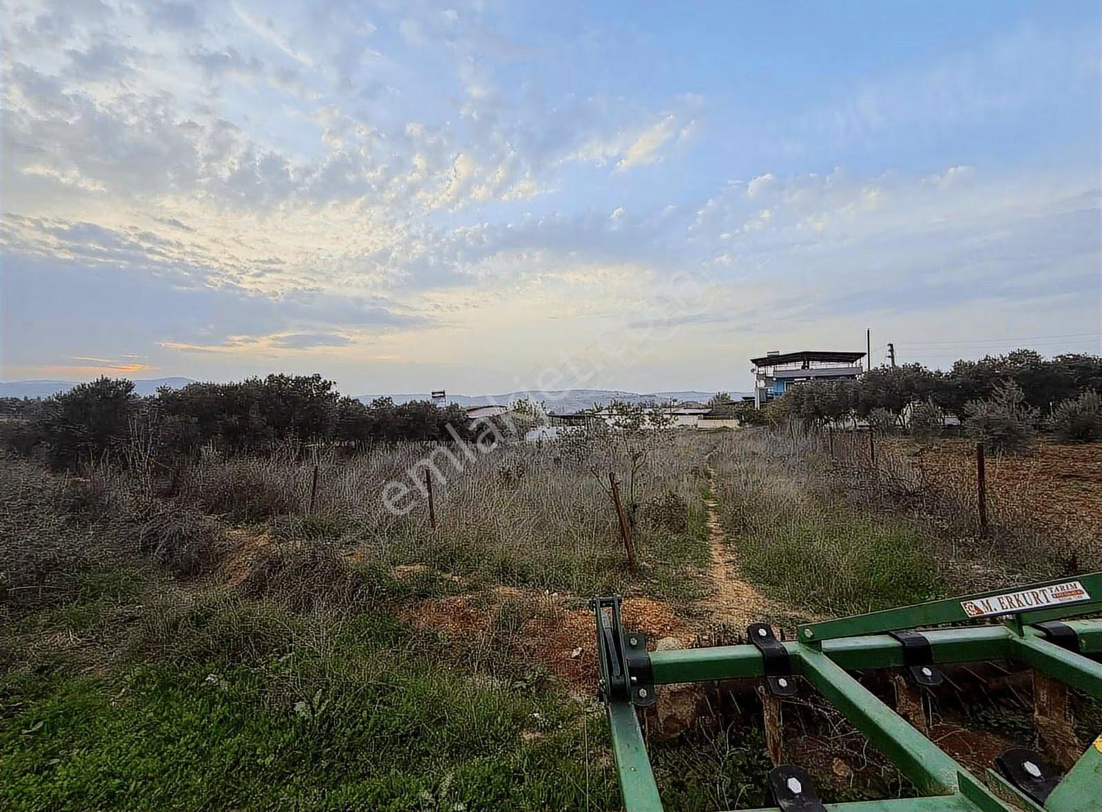 Pek Emlaktan 450 M2 %50 Nizami 2 Kat Konut İmarlı Satılık Arsa - Görsel 22