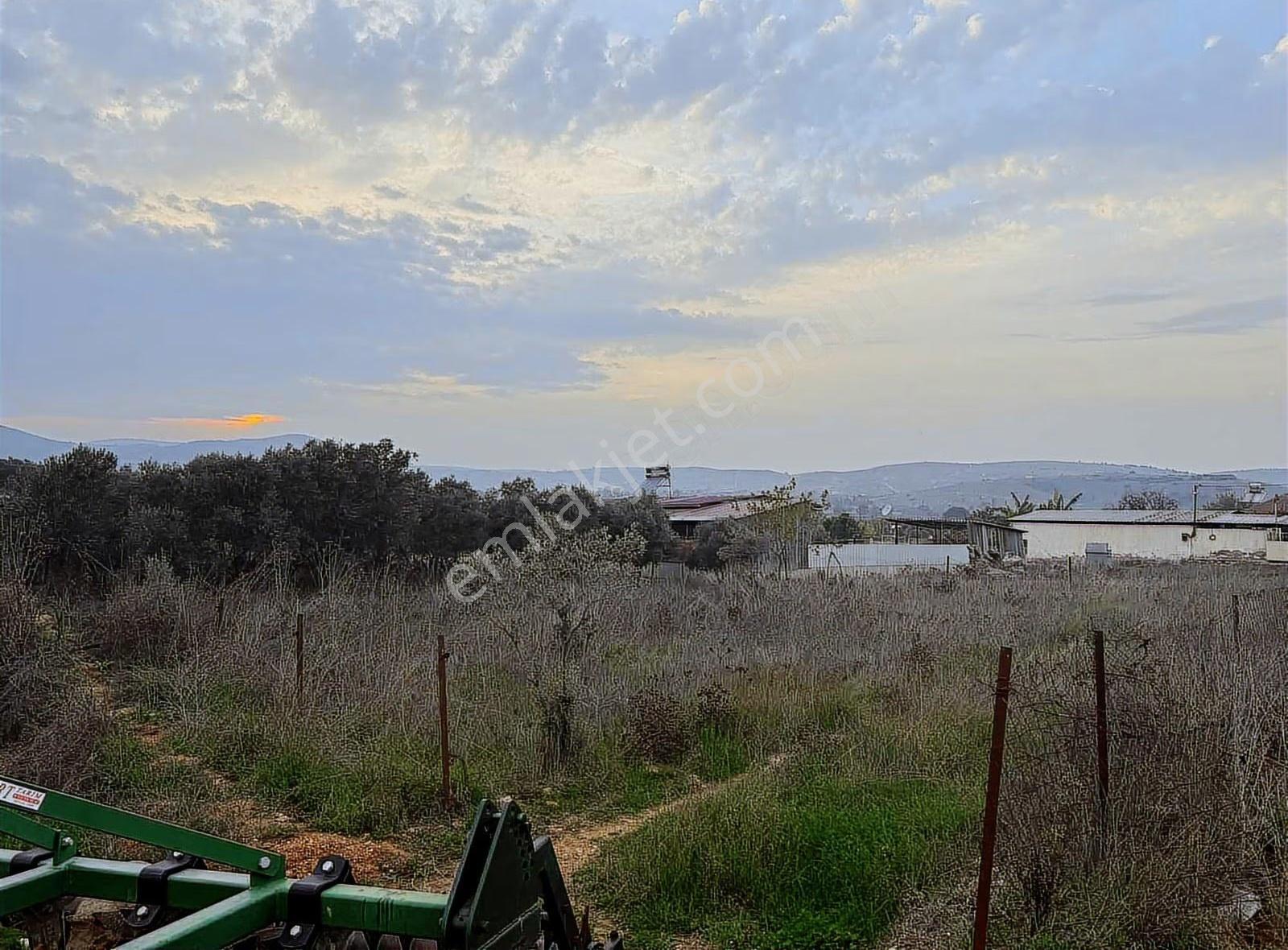 Pek Emlaktan 450 M2 %50 Nizami 2 Kat Konut İmarlı Satılık Arsa - Görsel 19
