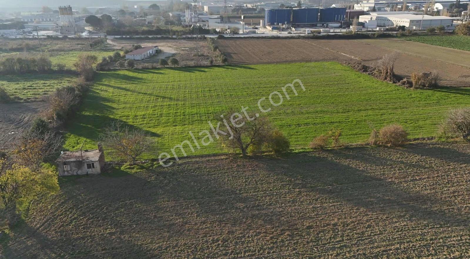 Pek Emlaktan İmara 1 Parsel 9700 M2 Satılık Tarla - Görsel 10