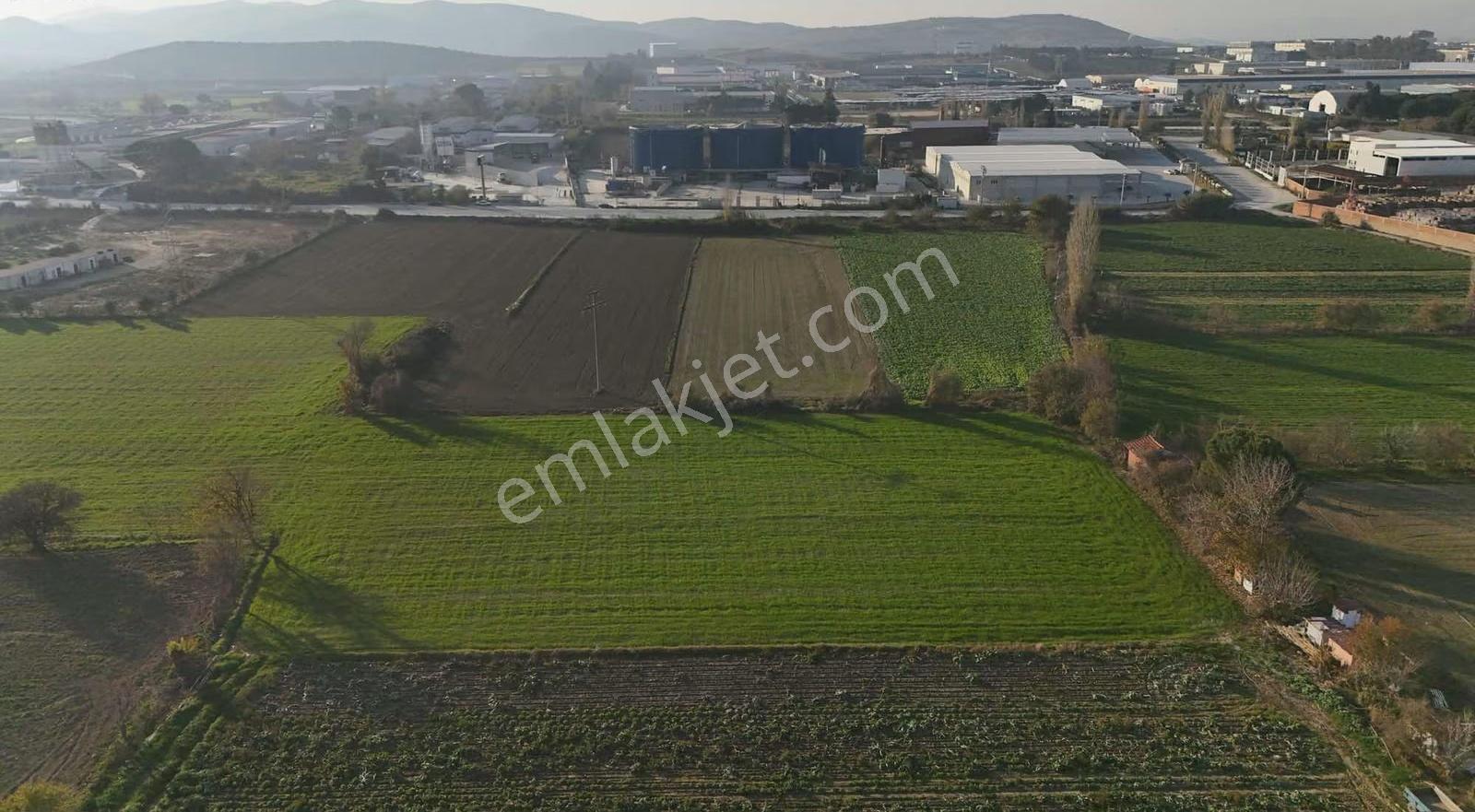 Pek Emlaktan İmara 1 Parsel 9700 M2 Satılık Tarla - Görsel 2