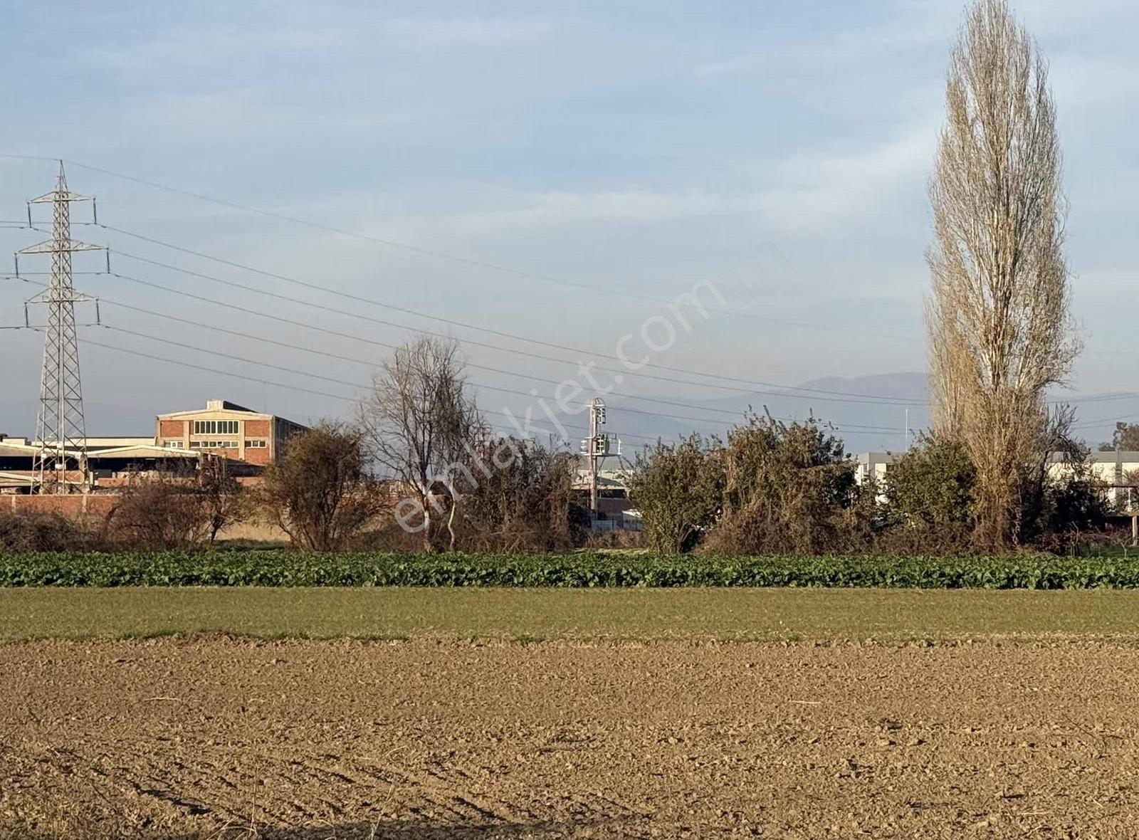 Pek Emlaktan İmara 1 Parsel 9700 M2 Satılık Tarla - Görsel 6