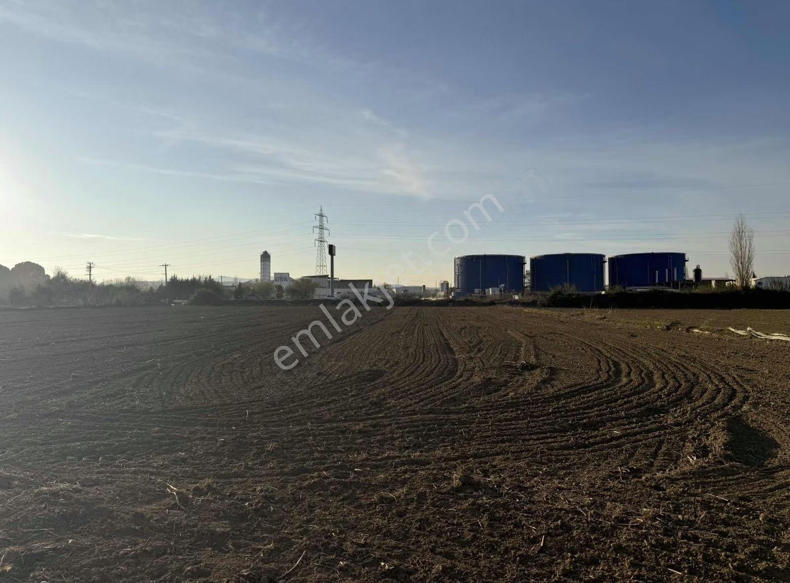 Pek Emlaktan İmara 1 Parsel 9700 M2 Satılık Tarla - Görsel 5