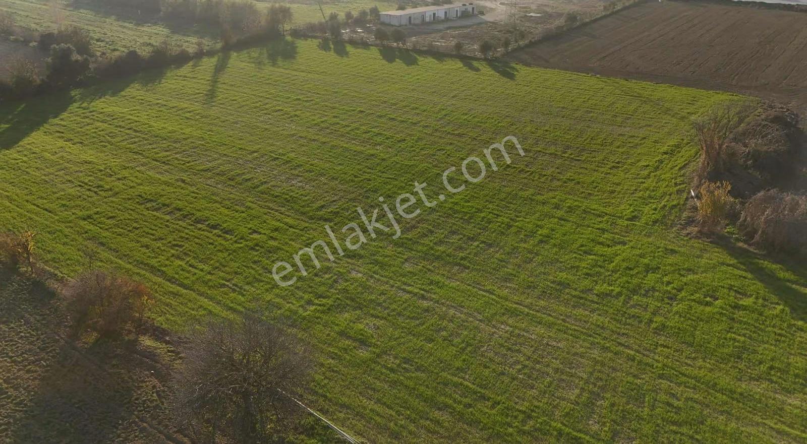 Pek Emlaktan İmara 1 Parsel 9700 M2 Satılık Tarla - Görsel 11