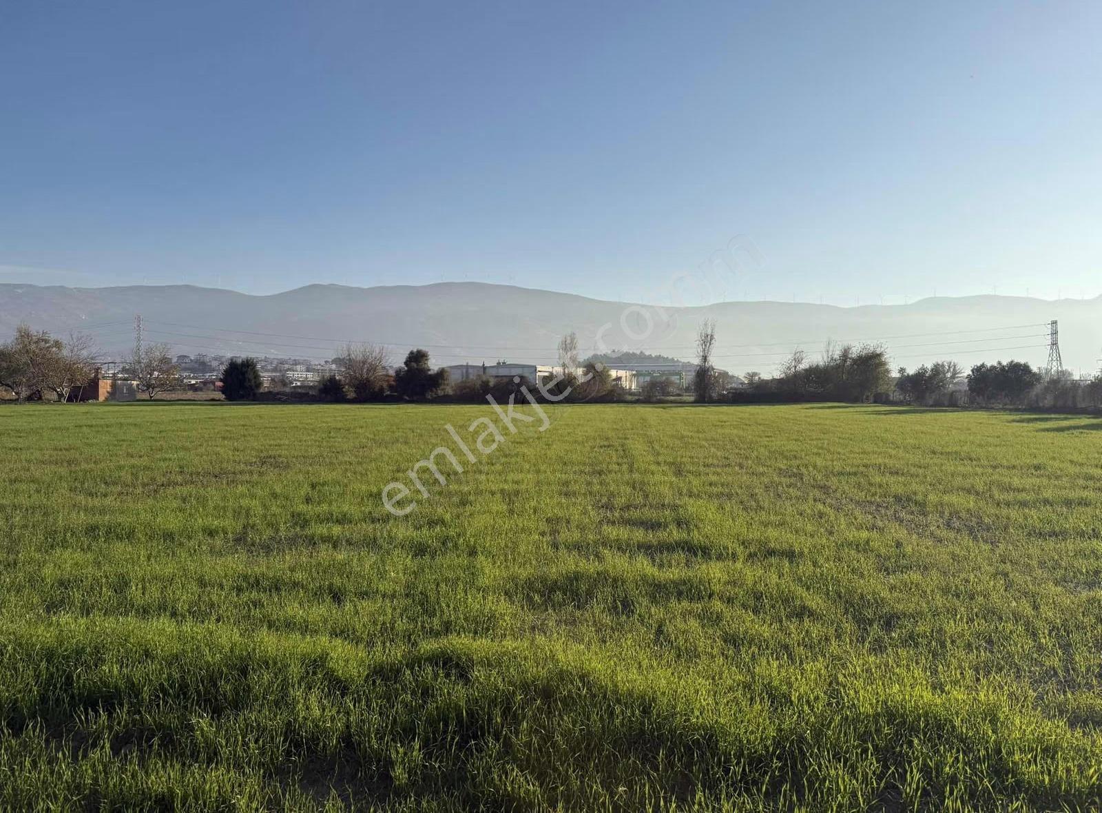 Pek Emlaktan İmara 1 Parsel 9700 M2 Satılık Tarla - Görsel 15