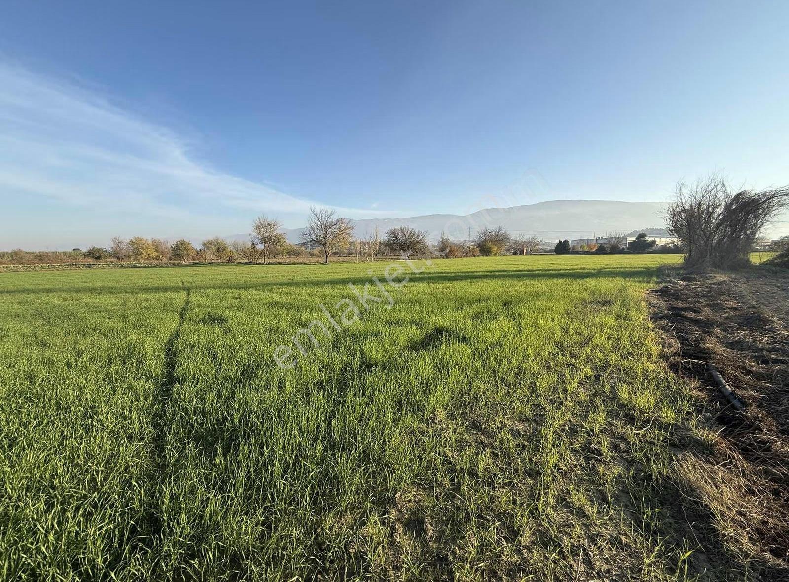 Pek Emlaktan İmara 1 Parsel 9700 M2 Satılık Tarla - Görsel 13