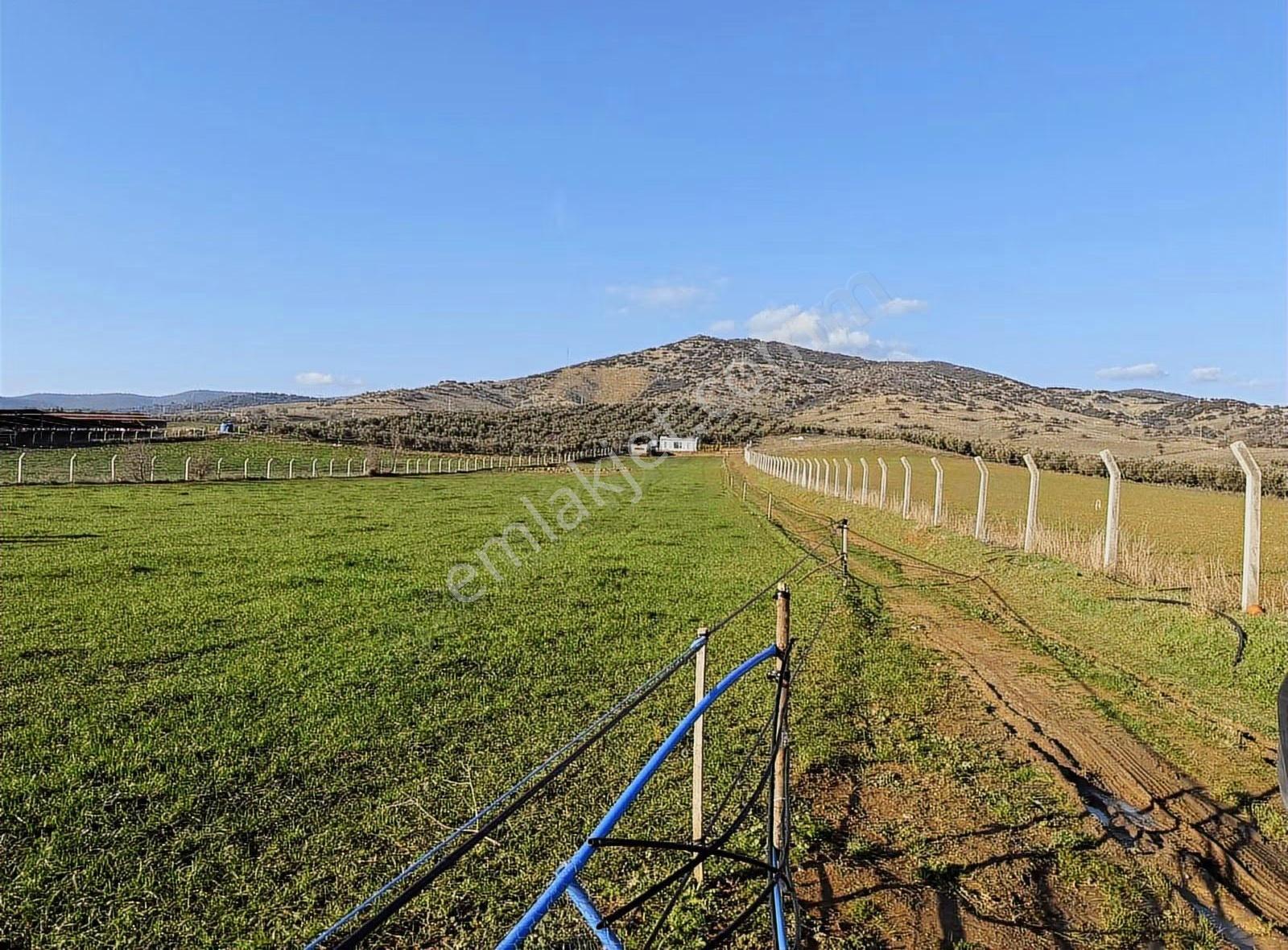 Pek Emlaktan 9300 M2 Tek Satılık Müstakil Ev Ve Arazi - Görsel 17