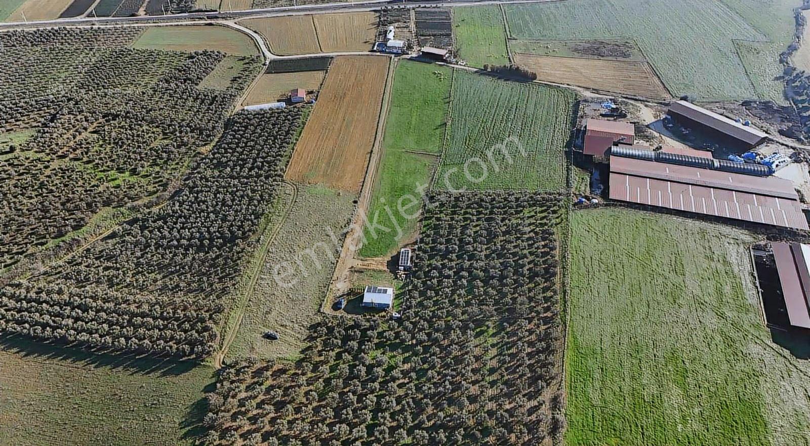 Pek Emlaktan 9300 M2 Tek Satılık Müstakil Ev Ve Arazi - Görsel 19