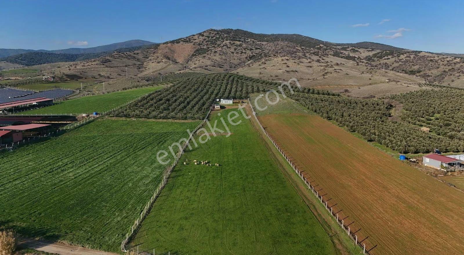 Pek Emlaktan 9300 M2 Tek Satılık Müstakil Ev Ve Arazi - Görsel 13