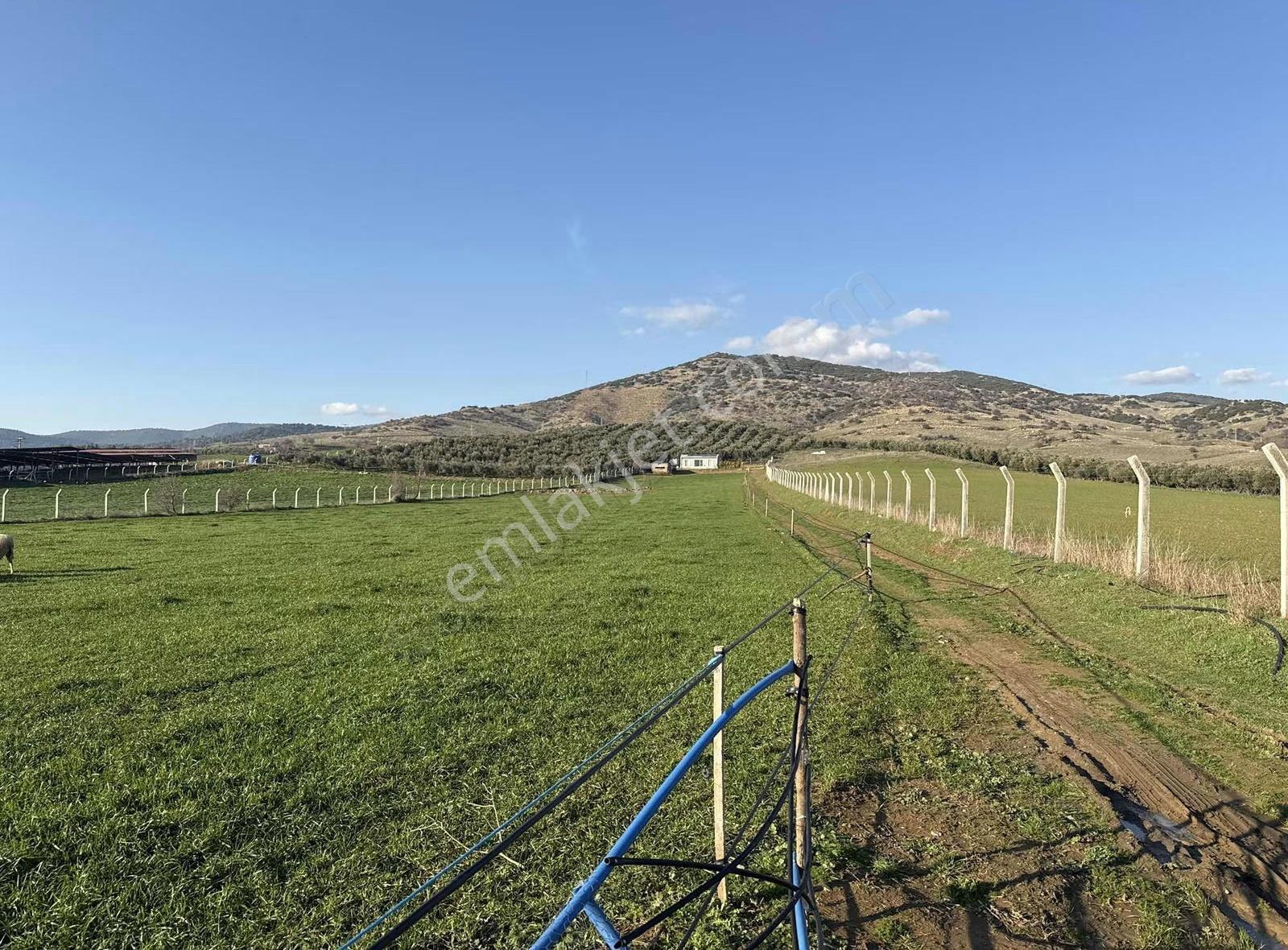 Pek Emlaktan 9300 M2 Tek Satılık Müstakil Ev Ve Arazi - Görsel 26