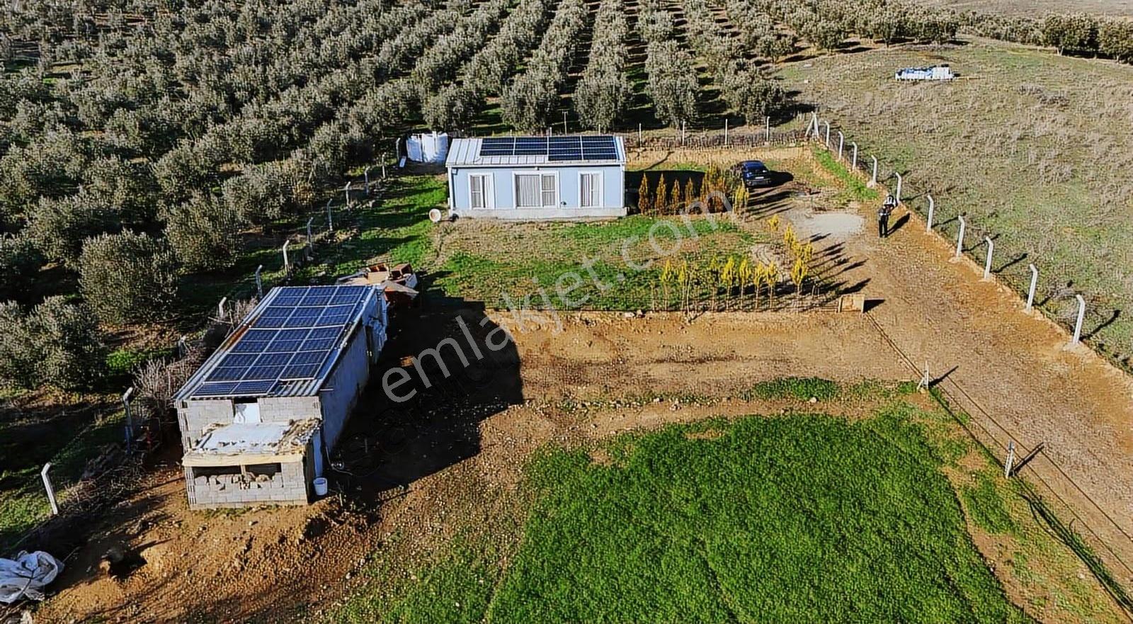 Pek Emlaktan 9300 M2 Tek Satılık Müstakil Ev Ve Arazi - Görsel 8