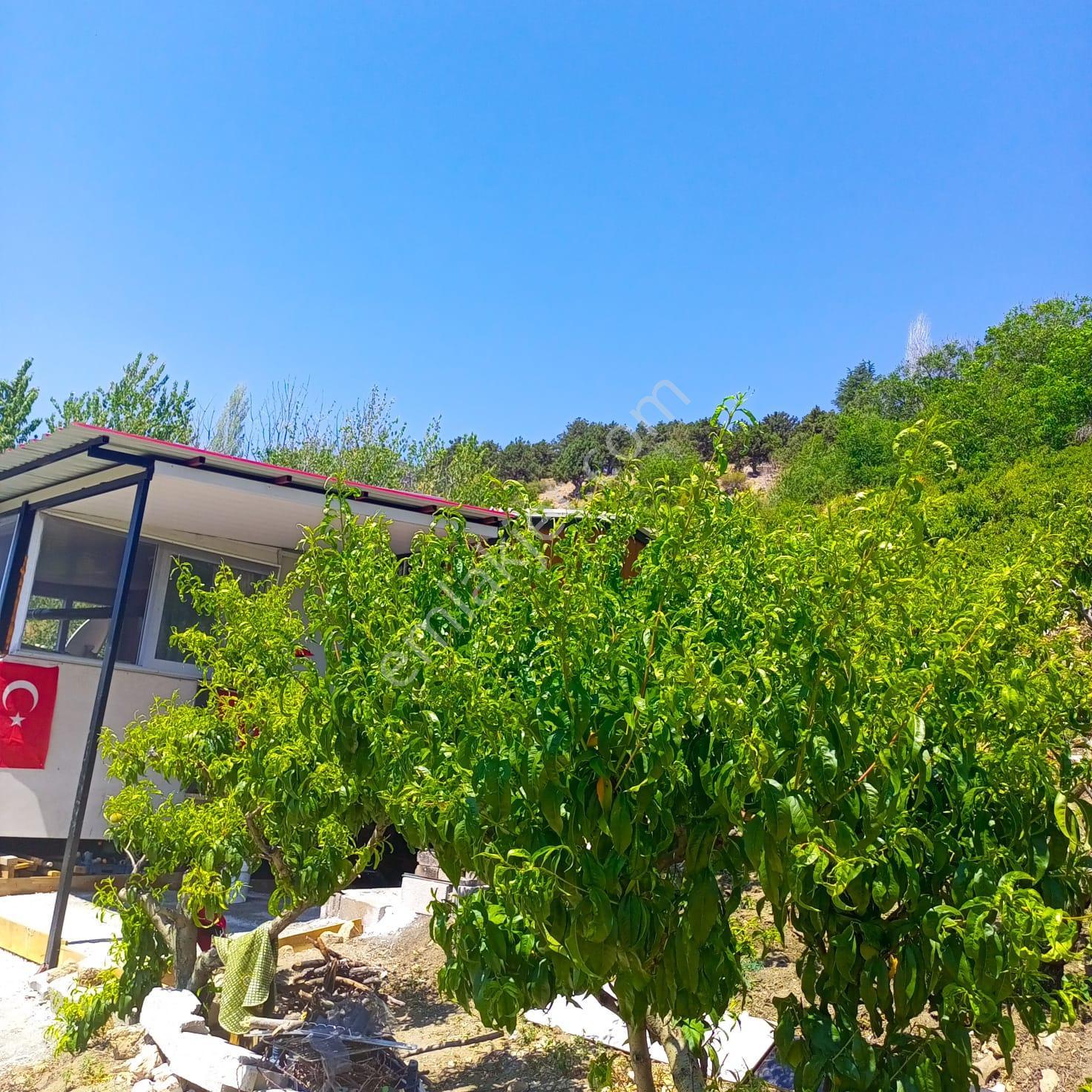 Erdemli Sorgun 1772 M2 Şeftali Bahçesi Ve Prefabrik Ev - Görsel 20