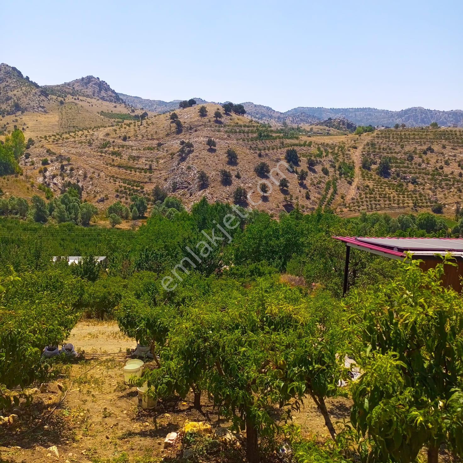 Erdemli Sorgun 1772 M2 Şeftali Bahçesi Ve Prefabrik Ev - Görsel 12