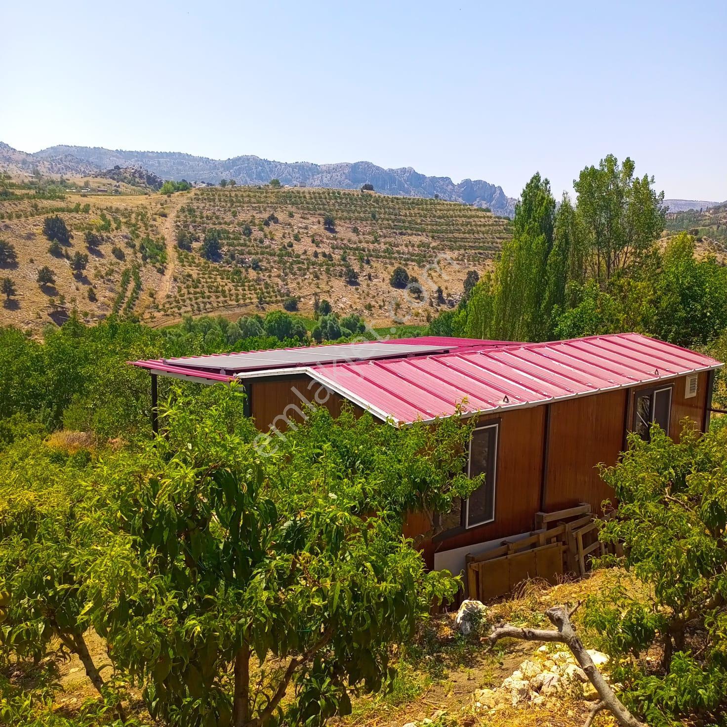 Erdemli Sorgun 1772 M2 Şeftali Bahçesi Ve Prefabrik Ev - Görsel 13