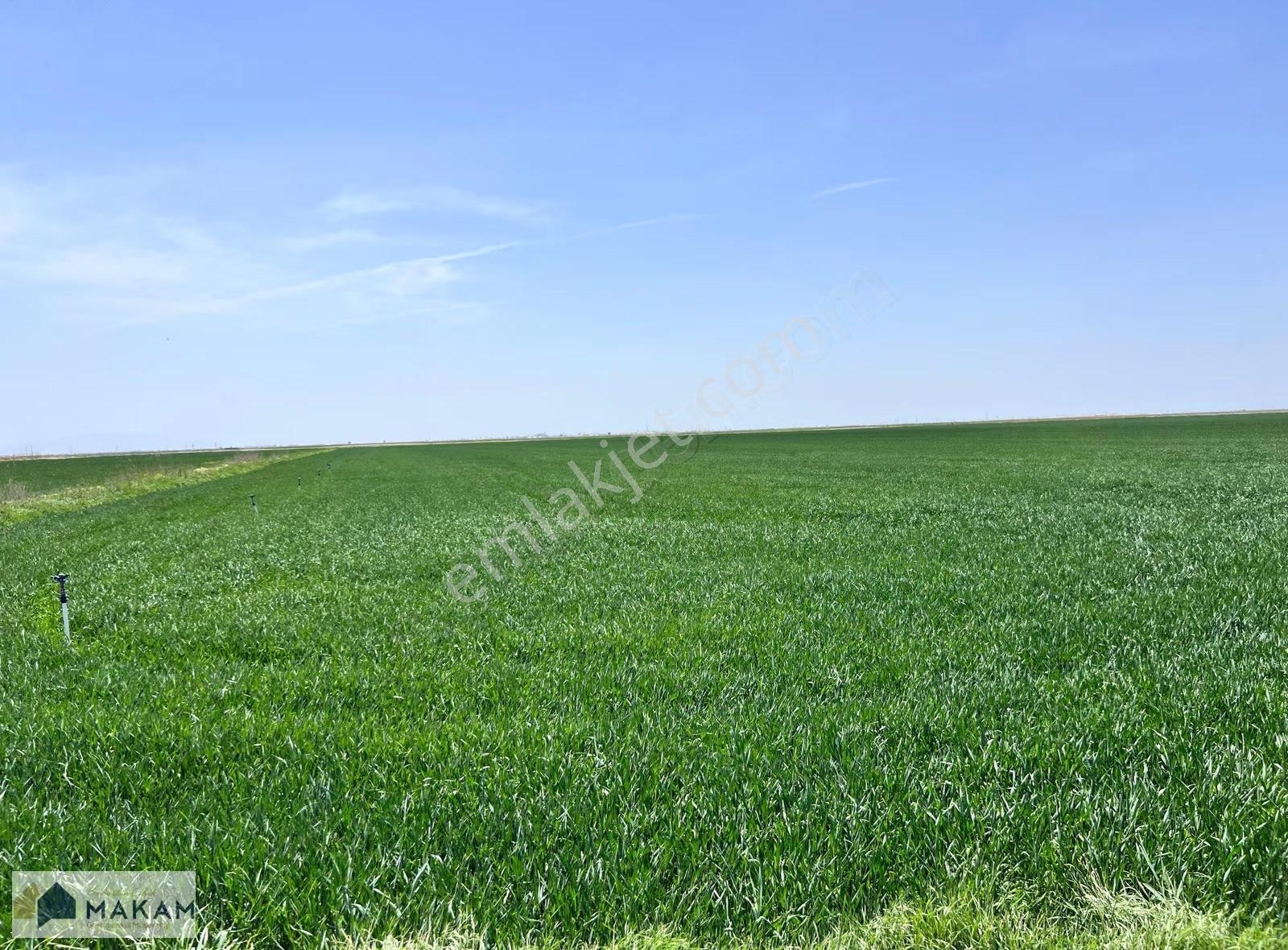 Karatay Zivecik'te 114.750m2 Müstakil Tapulu Satılık Tarla