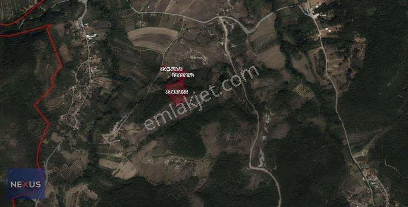 Şile Ağva Soğulu'da 3 Parsel Birleşik8670m2 Satılık Arazi - Görsel 3