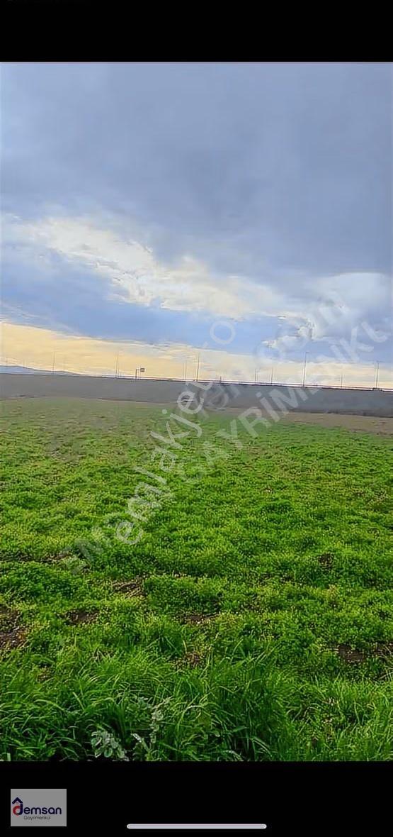 Adapazarı'nda İmarlı Potansiyelli 1279m² Tarla - Görsel 5