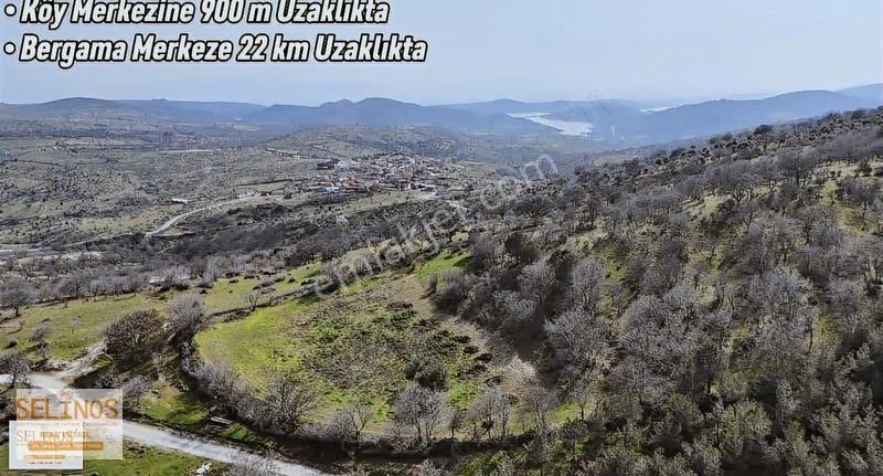 Dereköy 'de 10.365 M2 Satılık Zeytinlik - Görsel 3