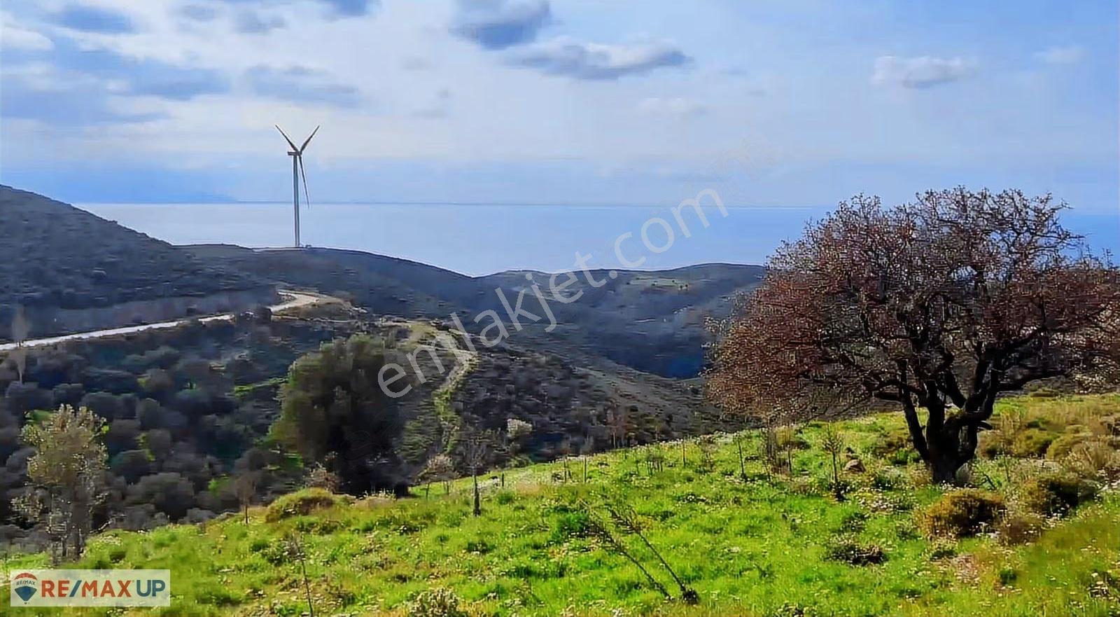 Karaburun Sarpıncık Full Deniz Manzaralı Satılık Arazi