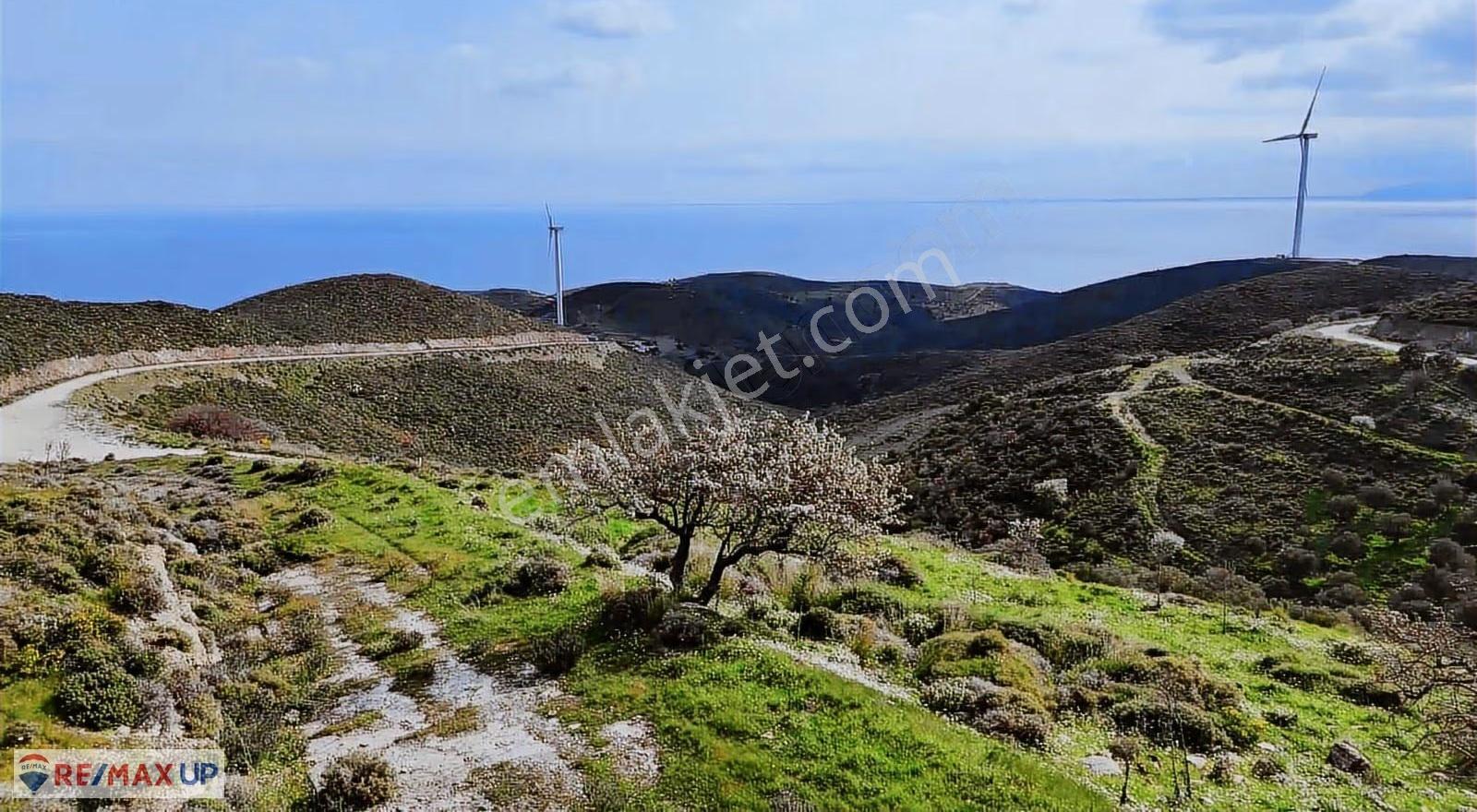 Karaburun Sarpıncık Full Deniz Manzaralı Satılık Arazi - Görsel 3