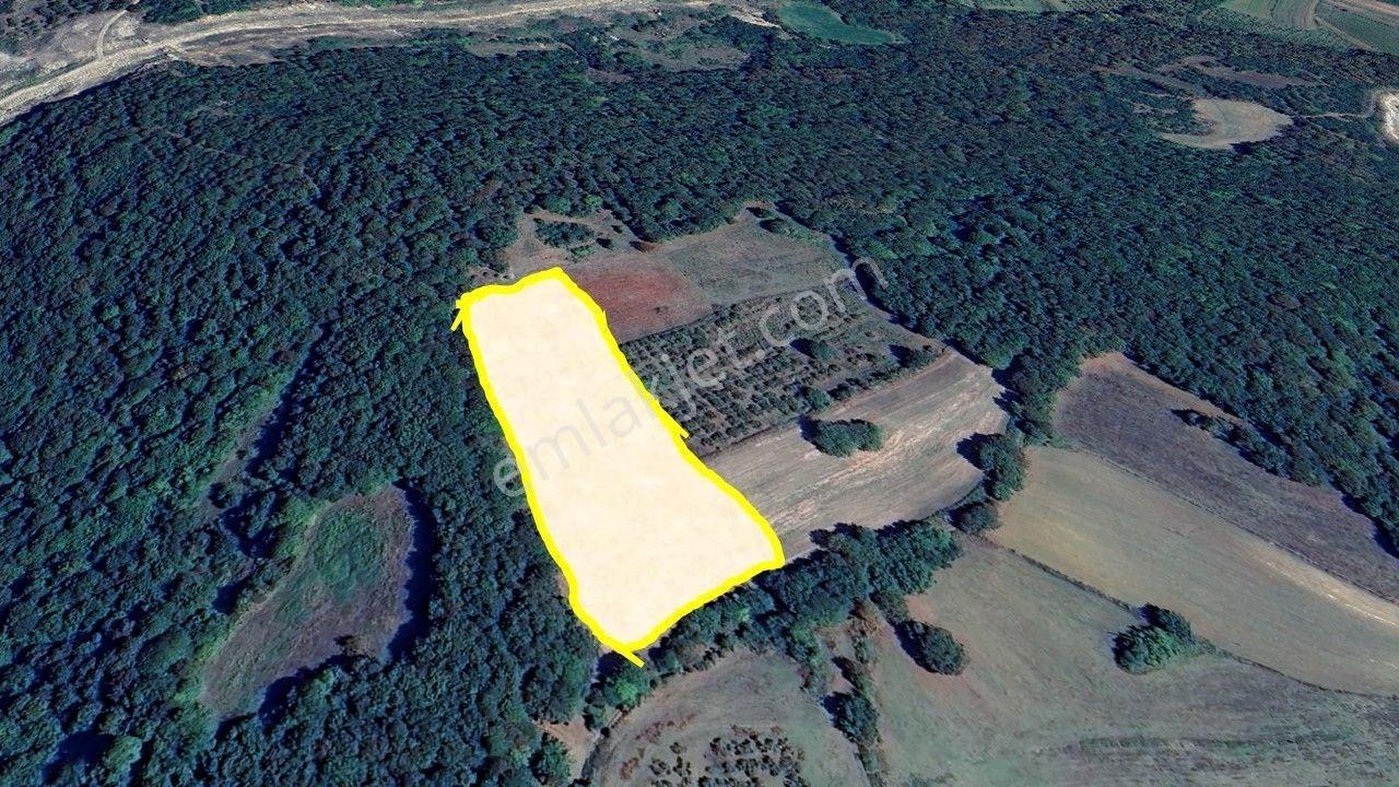 Altın Emlak'tan Kandıra Çalköy'de 8.368 M² Yatırımlık Arazi - Görsel 3