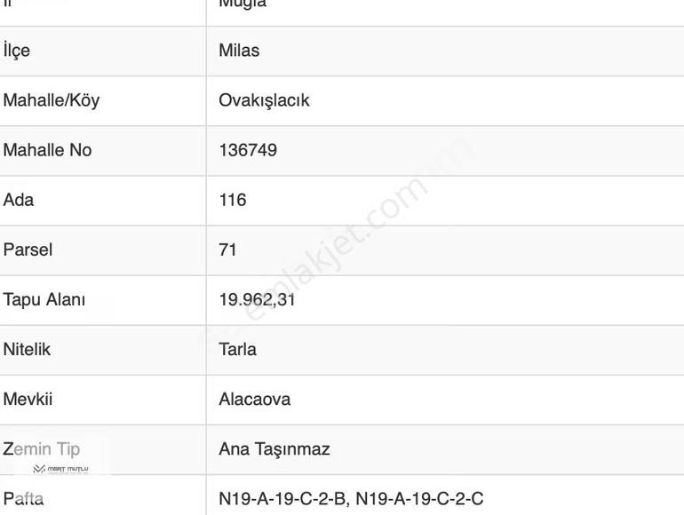 Milas Ovakışlacık Mah. Kadastral Yola Sıfır 41.000 M2. Tarla - Görsel 3