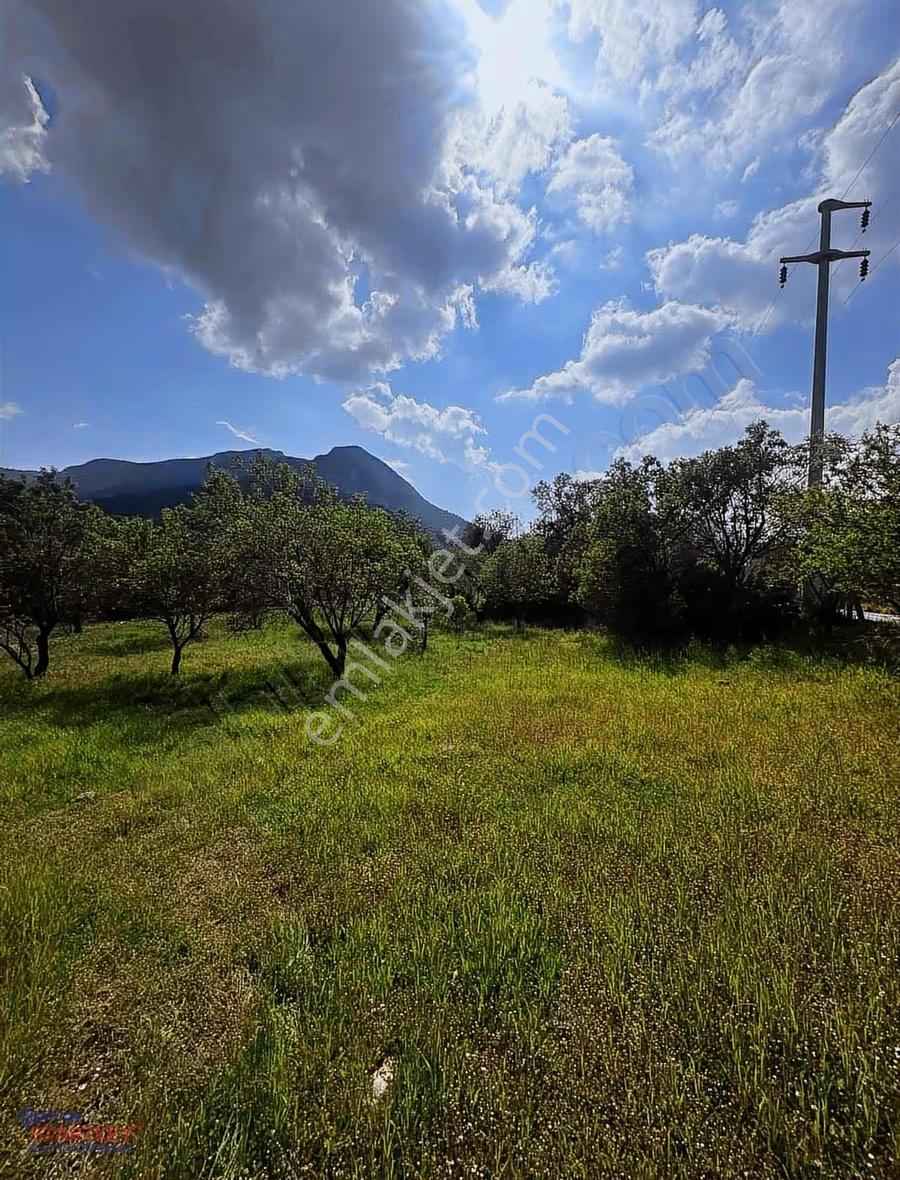 Startkey Pelit Hızırşah'ta Anayol Cepheli 2965 M2 Tarla - Görsel 5