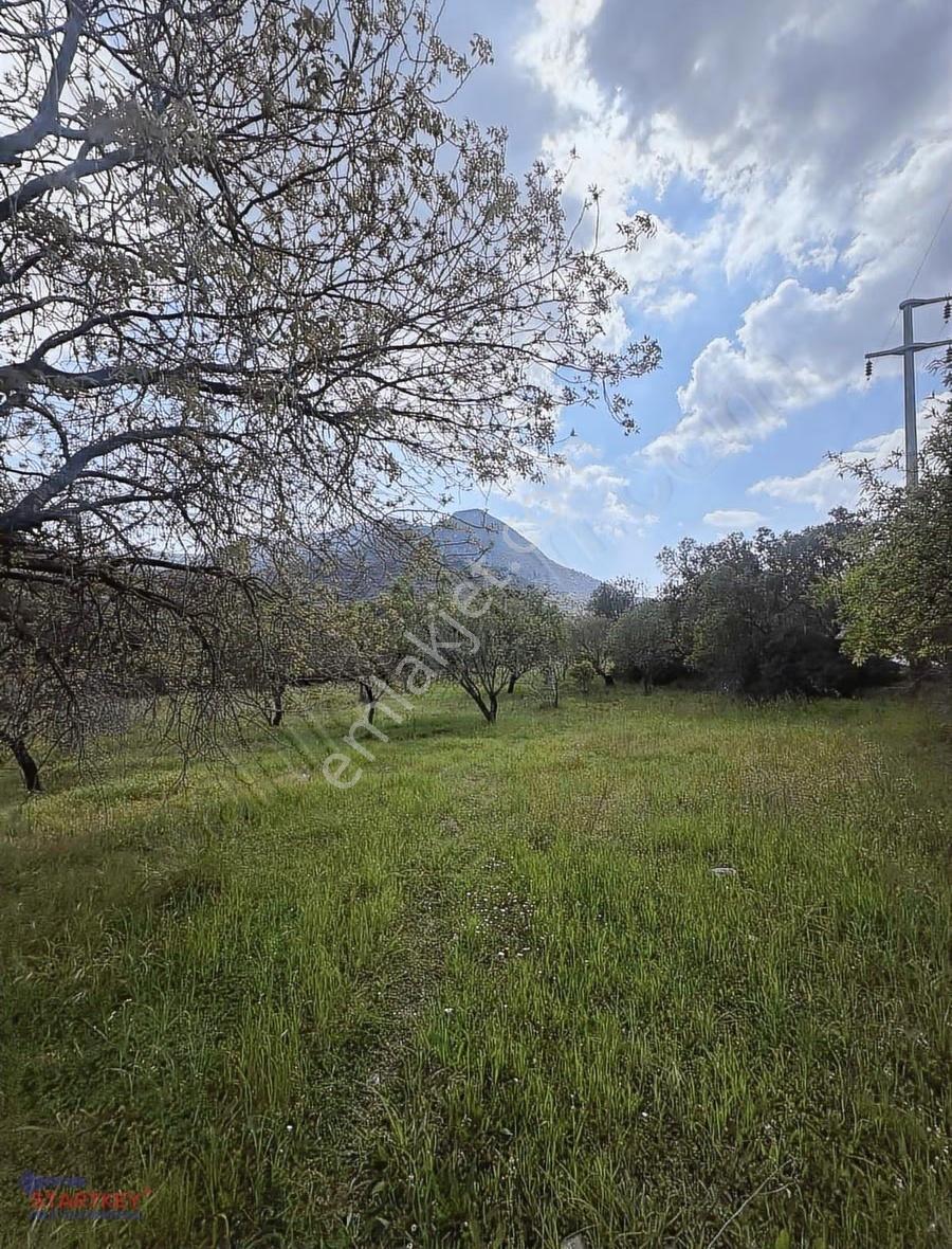 Startkey Pelit Hızırşah'ta Anayol Cepheli 2965 M2 Tarla - Görsel 2