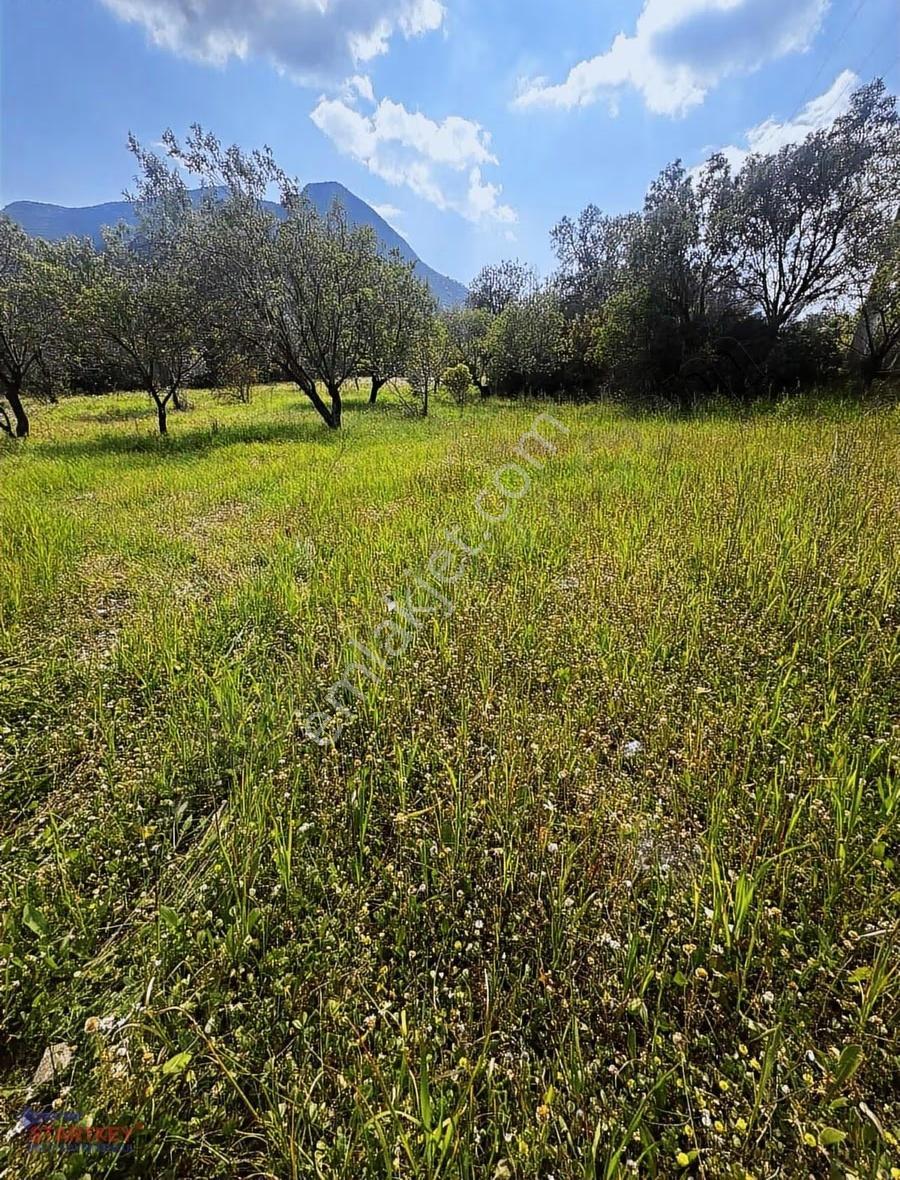 Startkey Pelit Hızırşah'ta Anayol Cepheli 2965 M2 Tarla