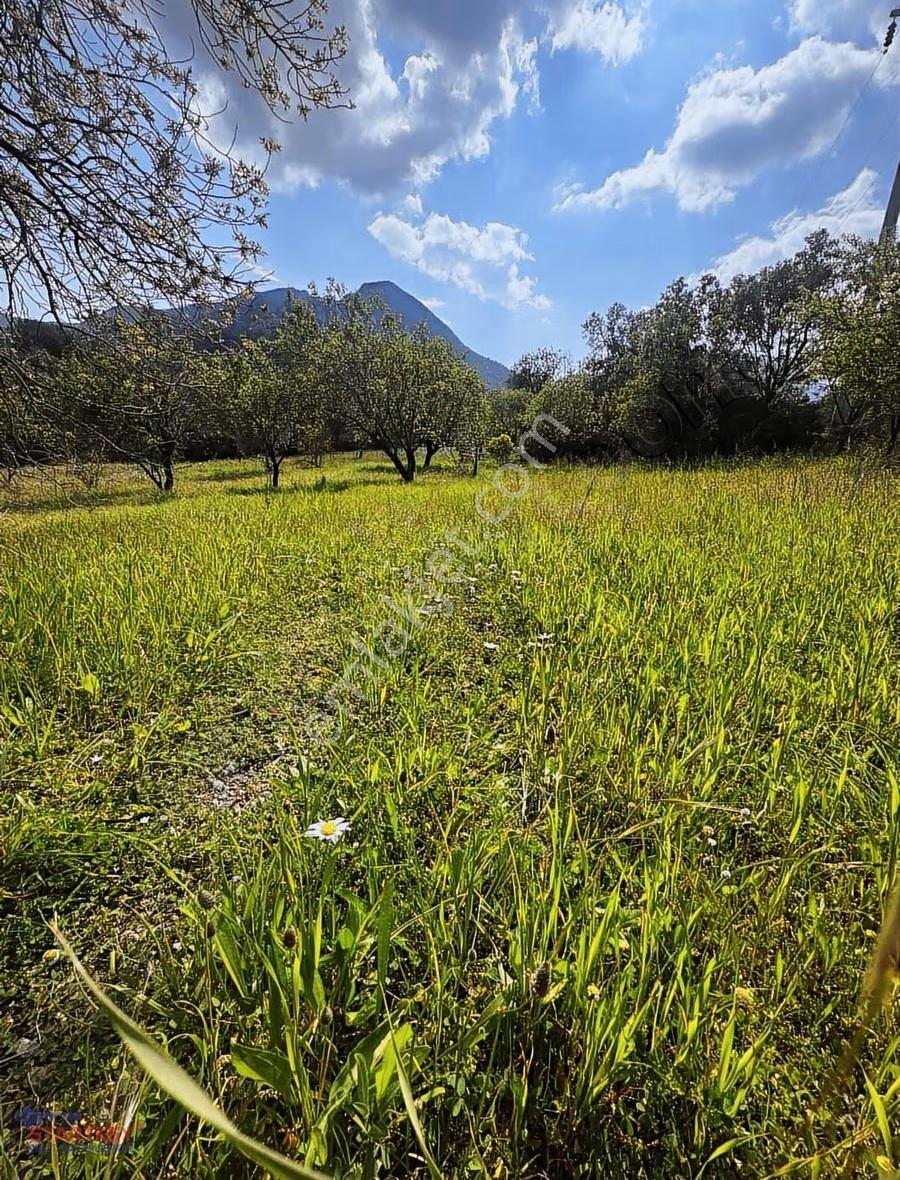 Startkey Pelit Hızırşah'ta Anayol Cepheli 2965 M2 Tarla - Görsel 7