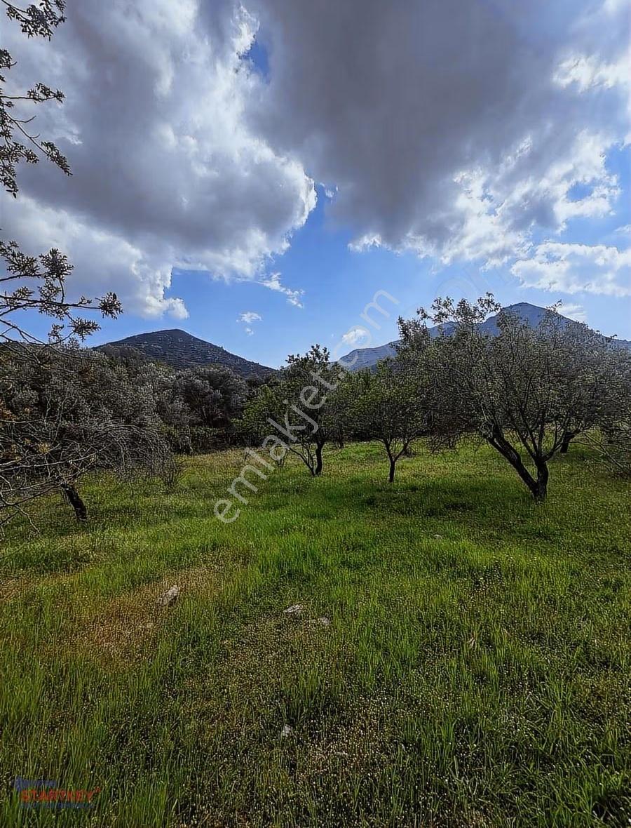 Startkey Pelit Hızırşah'ta Anayol Cepheli 2965 M2 Tarla - Görsel 12